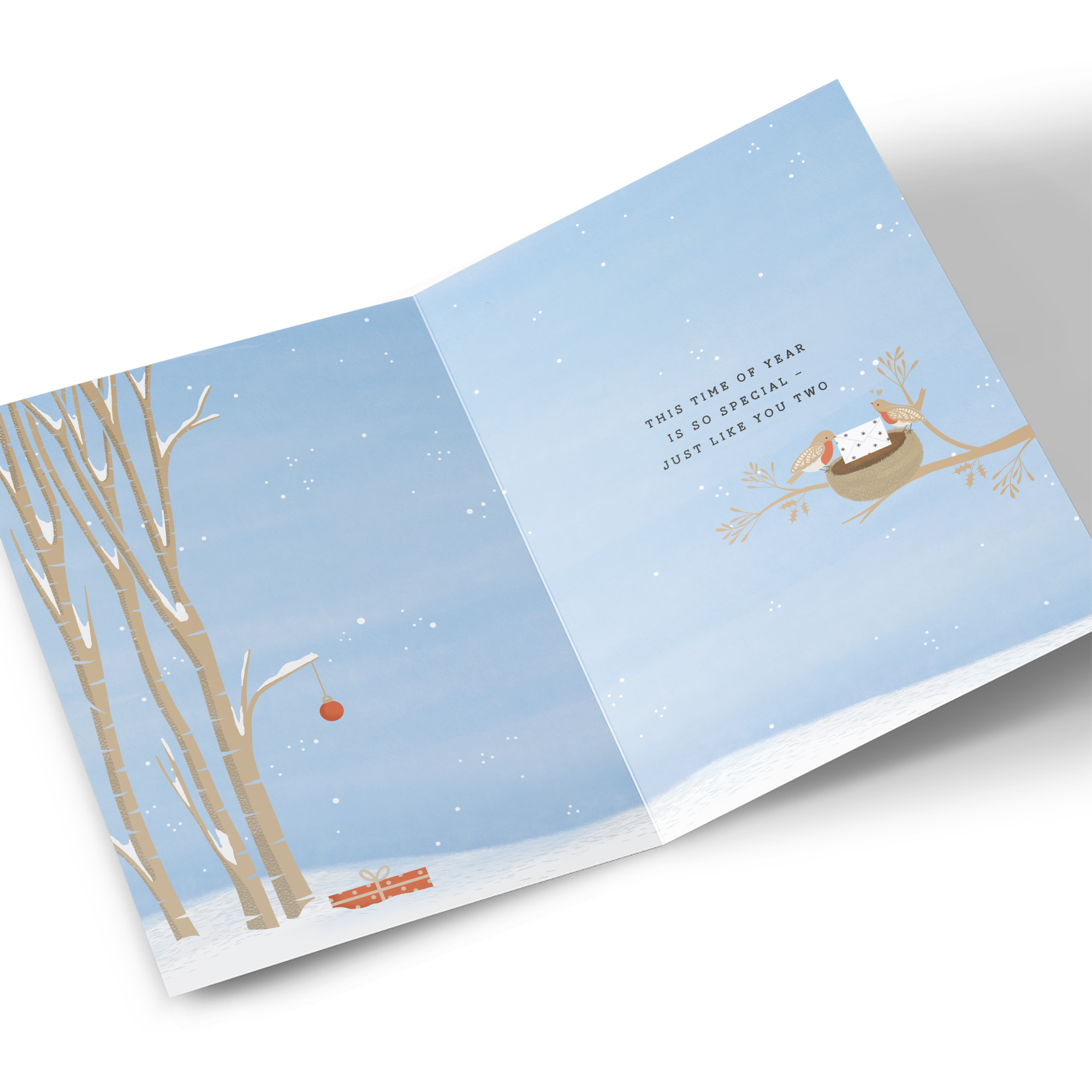 Christmas Card - Nighttime Owl With Letter, Special Couple