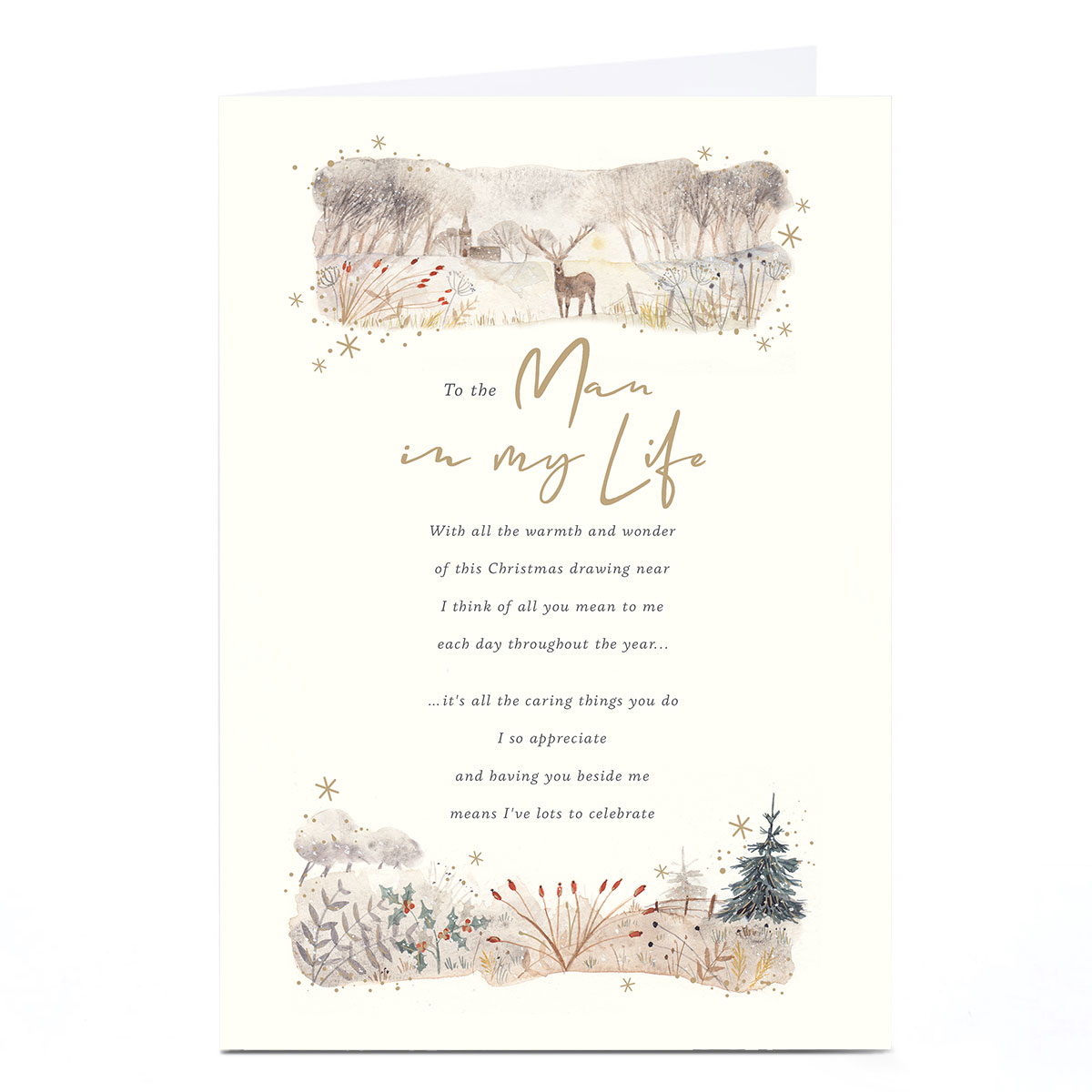 Christmas Card - To The Man In My Life