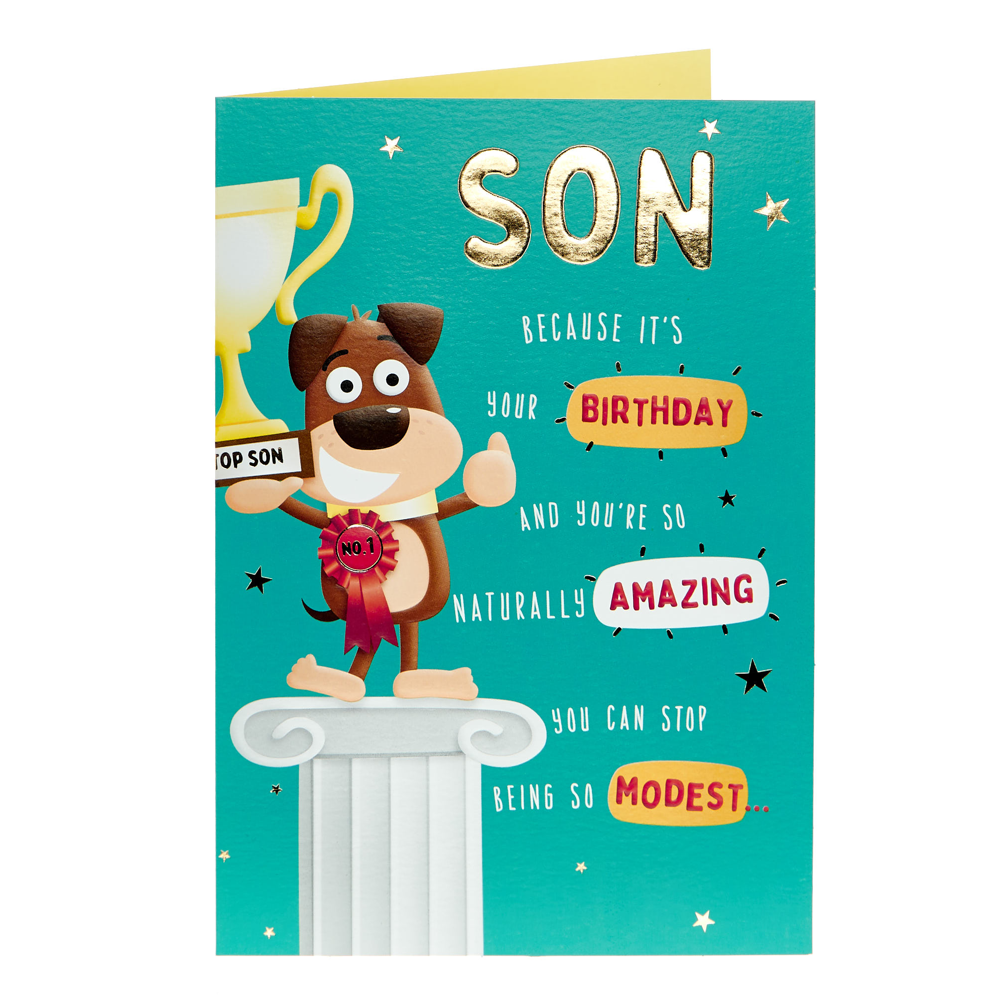 Son Naturally Amazing No.1 Dog Birthday Card