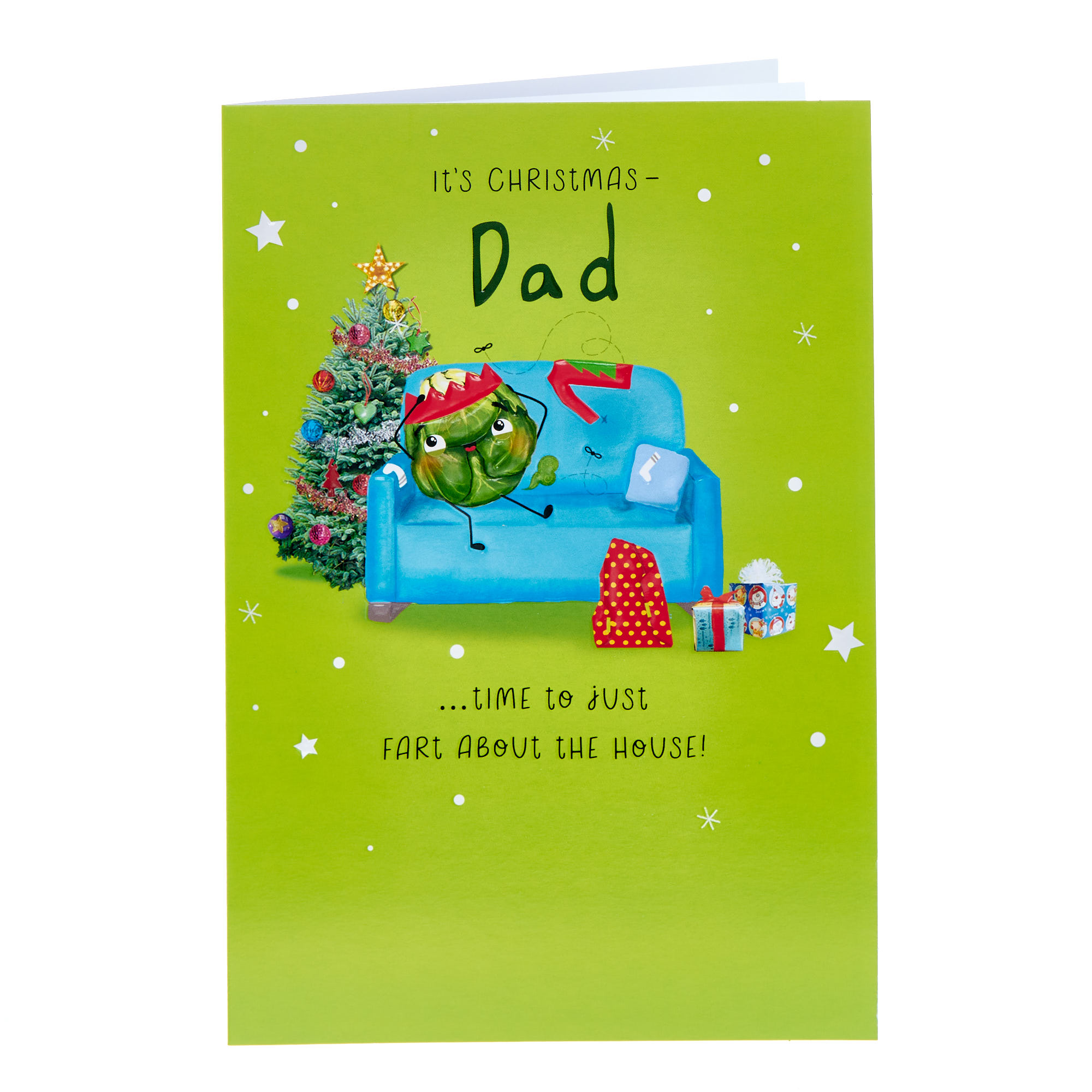 Dad Fart About The House Christmas Card