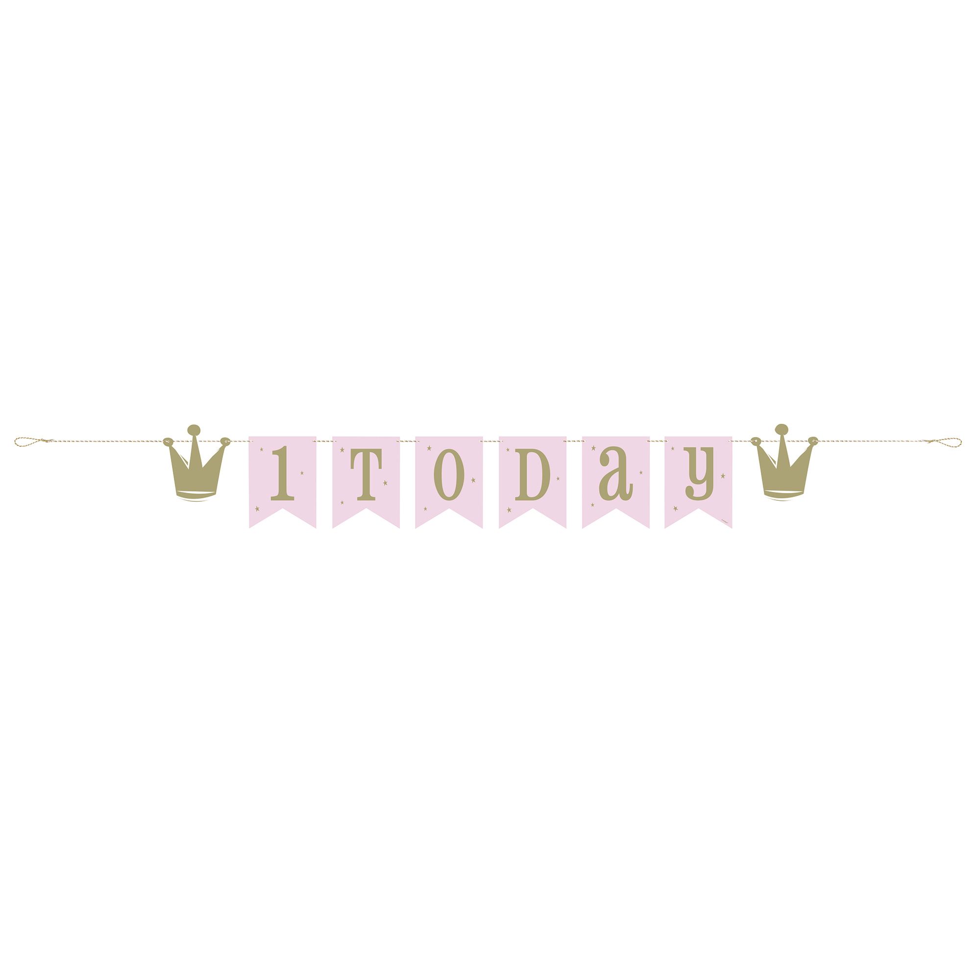 Ballerina 1st Birthday Party Tableware & Decorations - 16 Guests