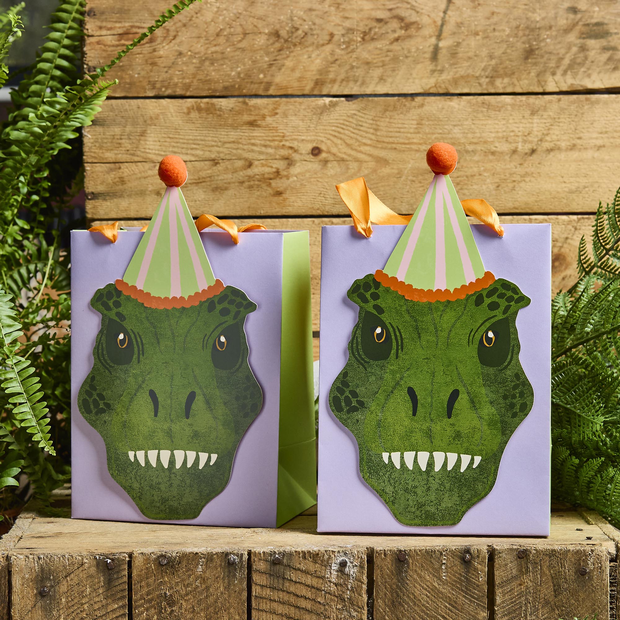 Dinosaur Party Bags - Pack of 5