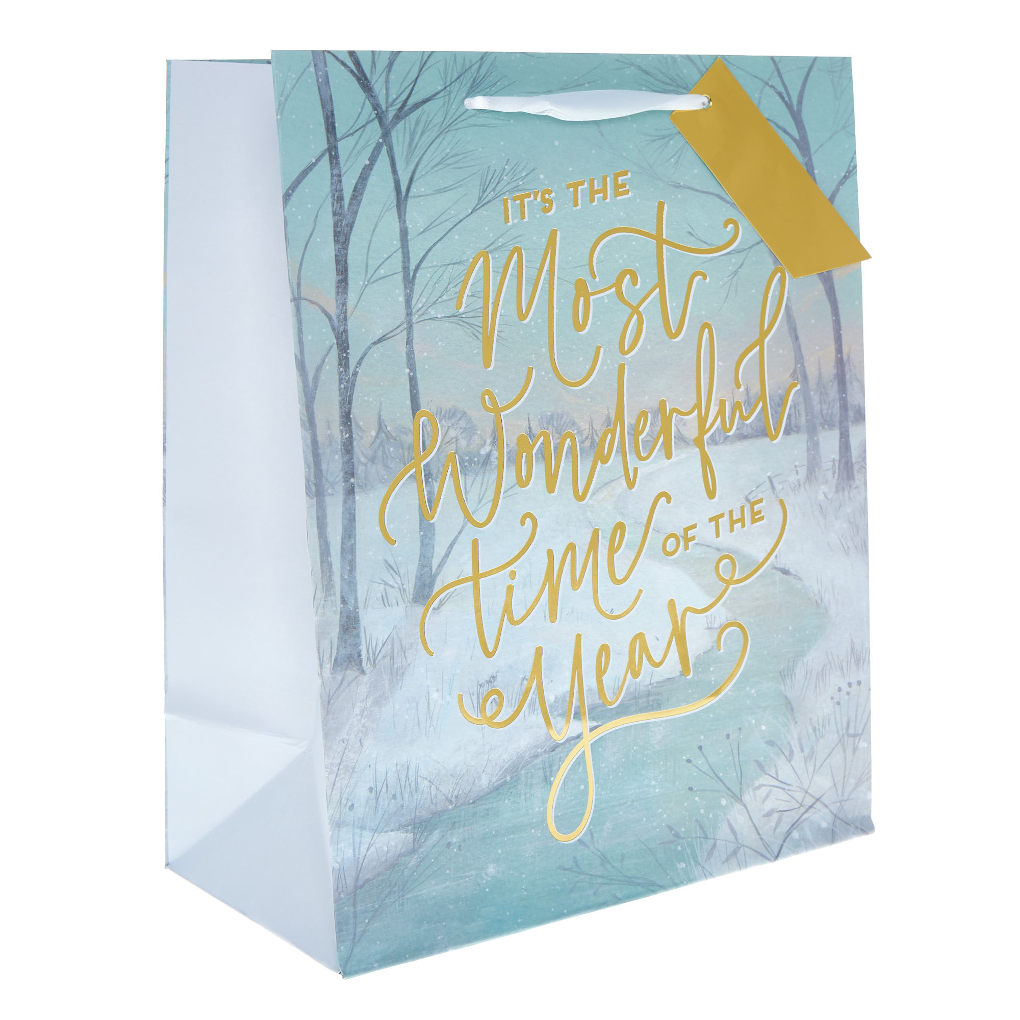 Large Portrait Most Wonderful Time of the Year Gift Bag