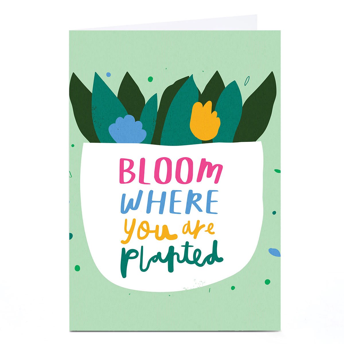 Personalised Whale & Bird Card - Bloom Where You Are Planted 