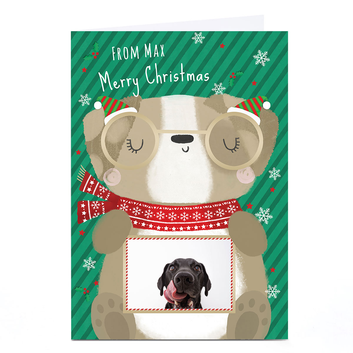 Photo Christmas Card - From The Dog Cartoon