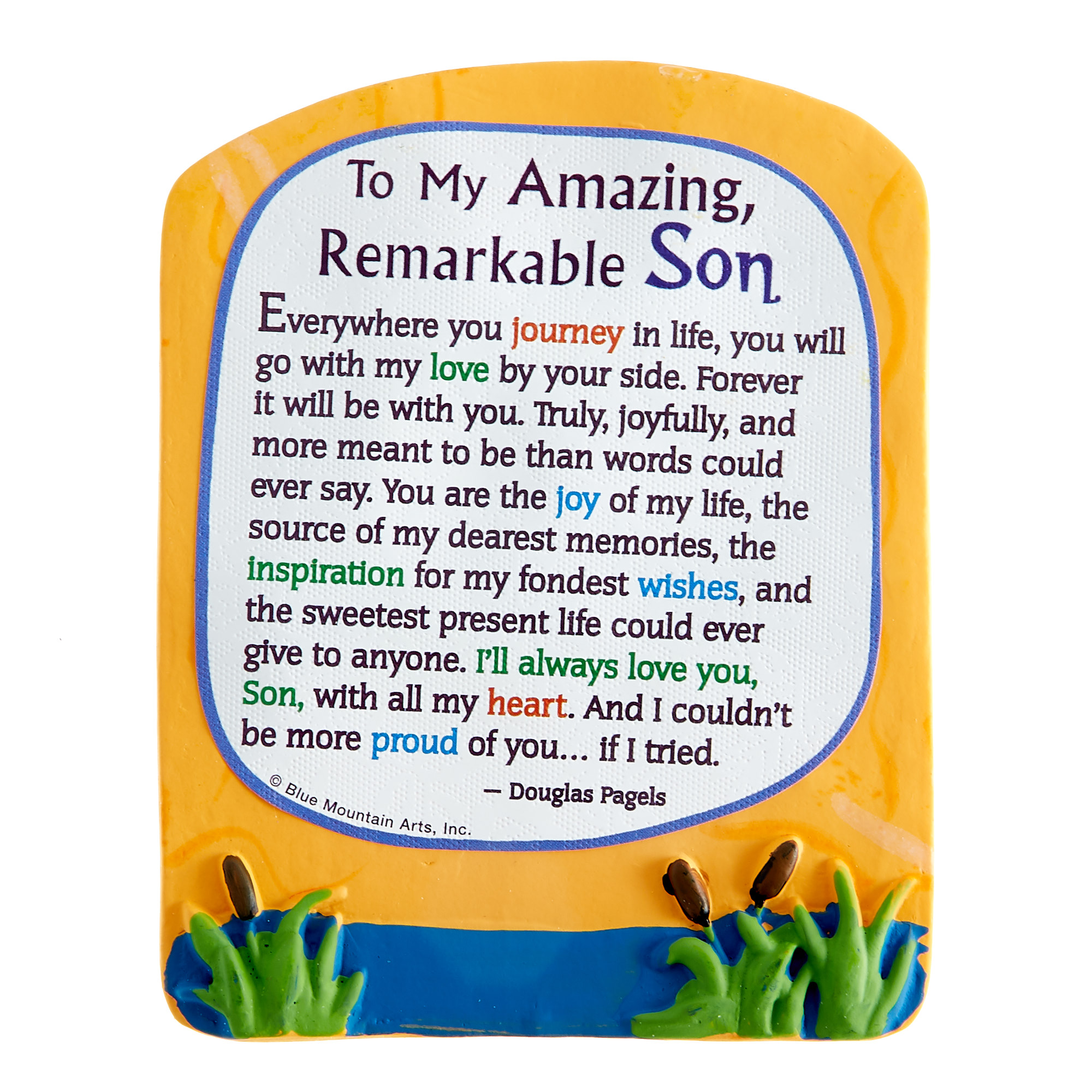 Blue Mountain Arts Magnet - My Amazing, Remarkable Son