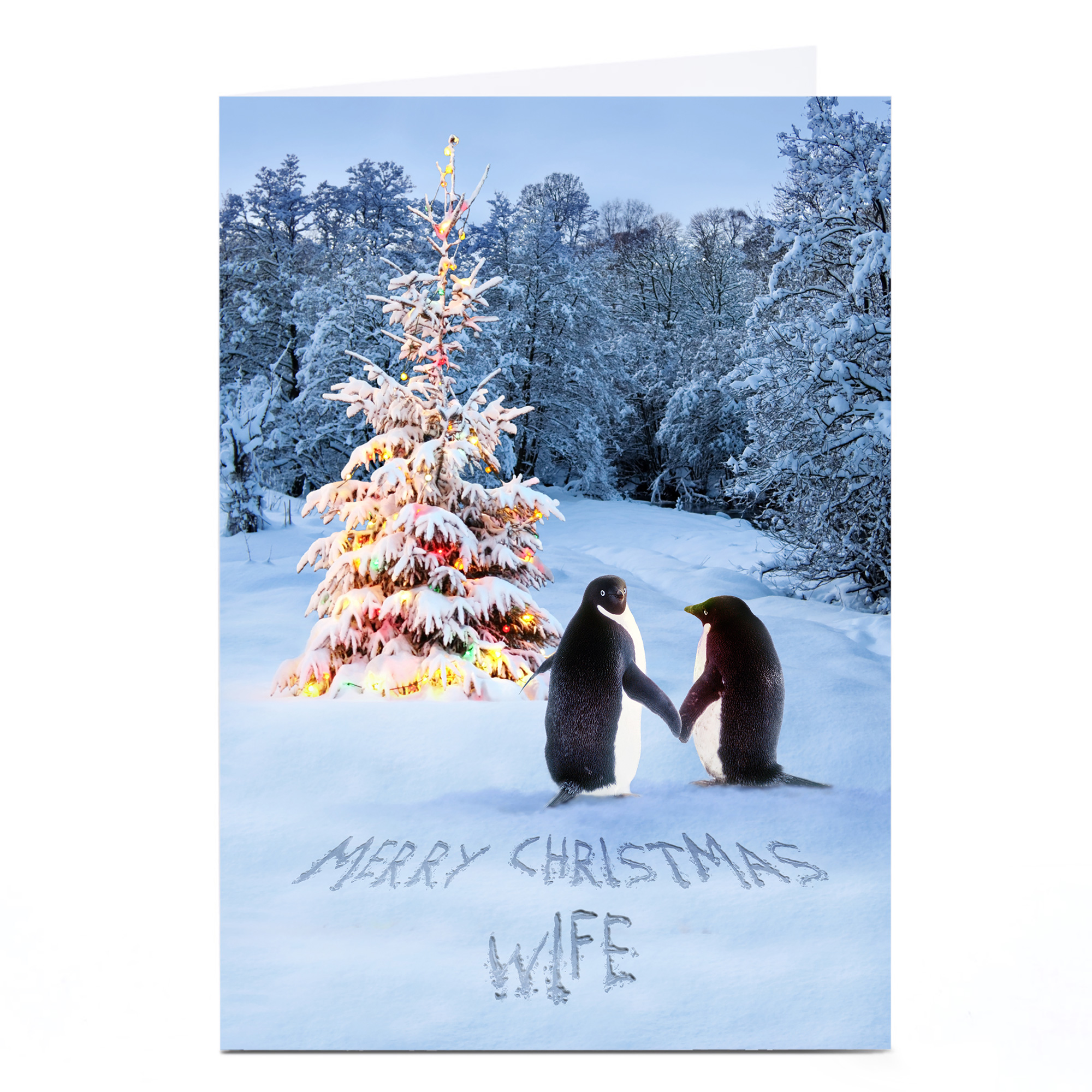 Personalised Christmas Card - Penguin Couple Wife