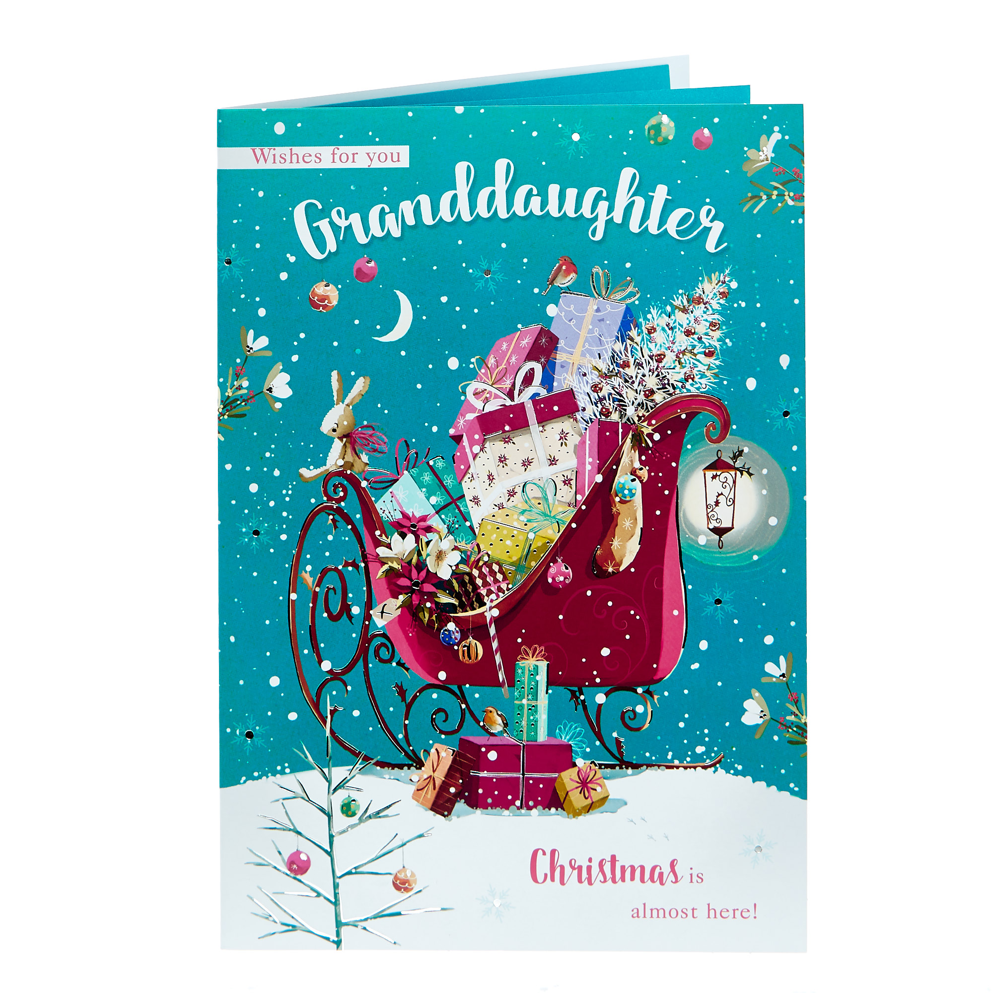 Christmas Card - Granddaughter Sleigh