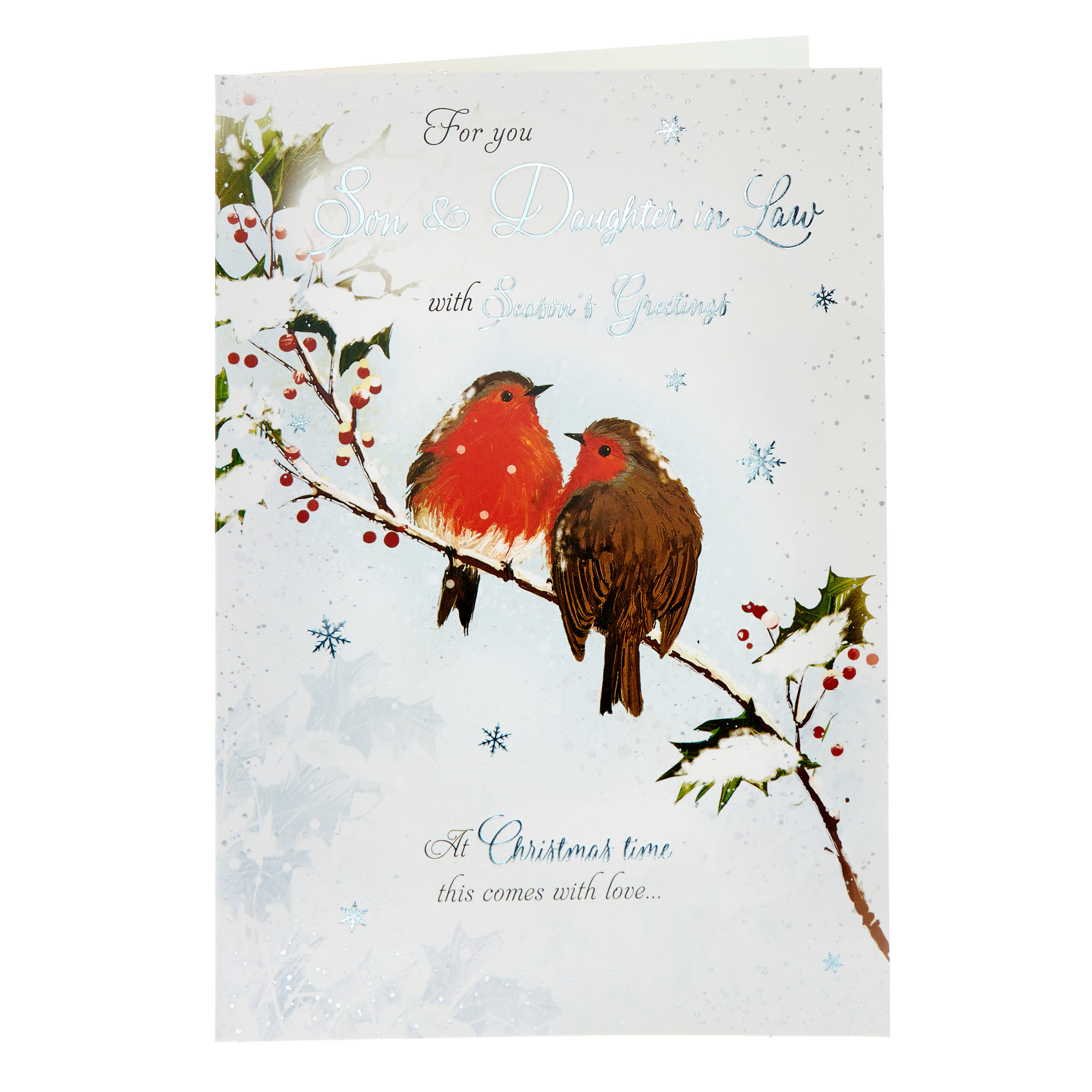 Son & Daughter In Law Two Robins Christmas Card