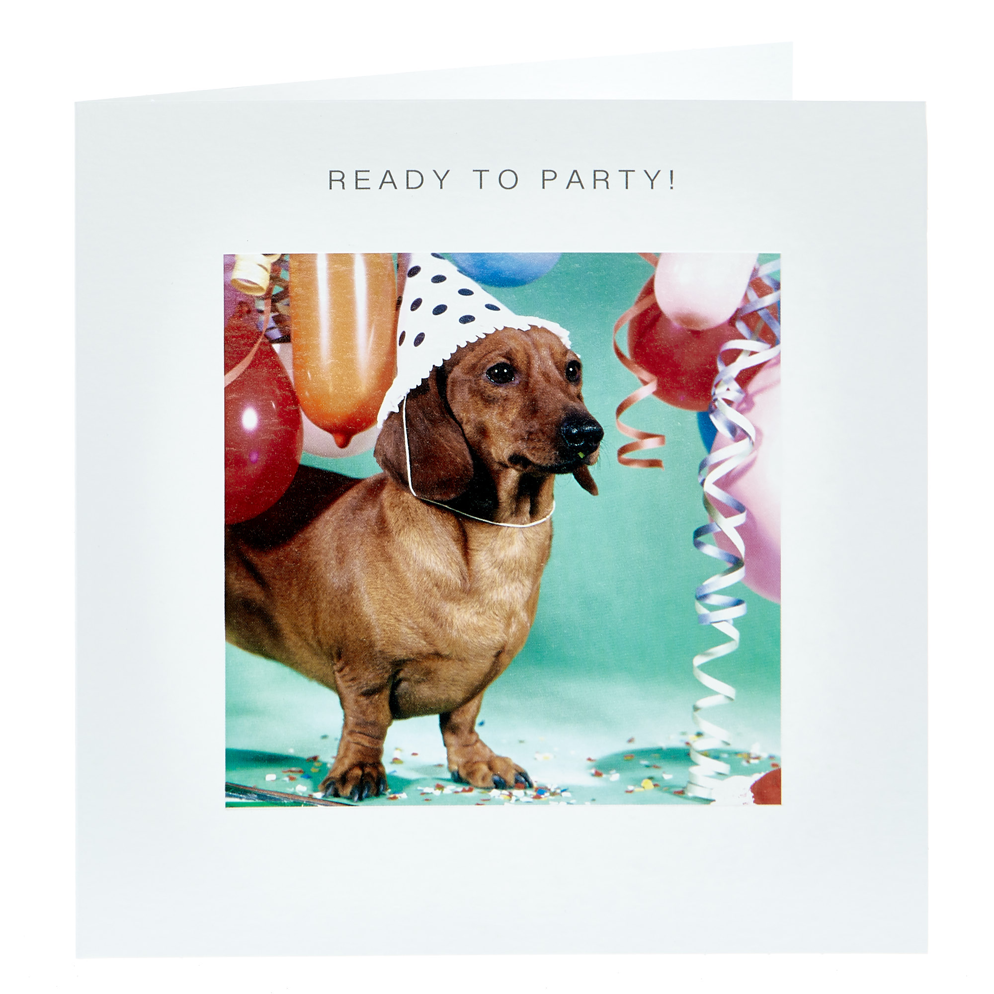 Birthday Card - Ready To Party, Dog