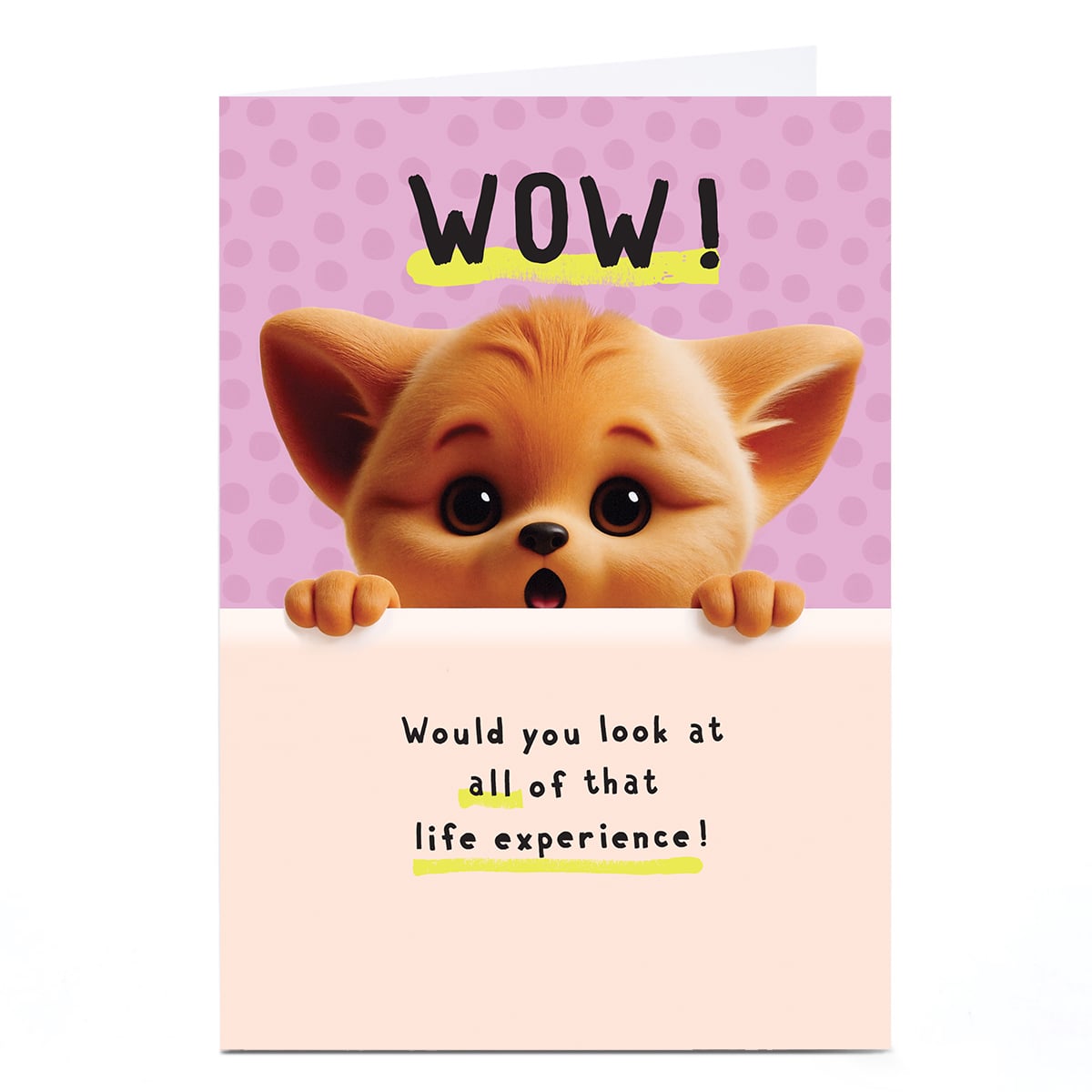 Wimzee Birthday Card - All That Life Experience