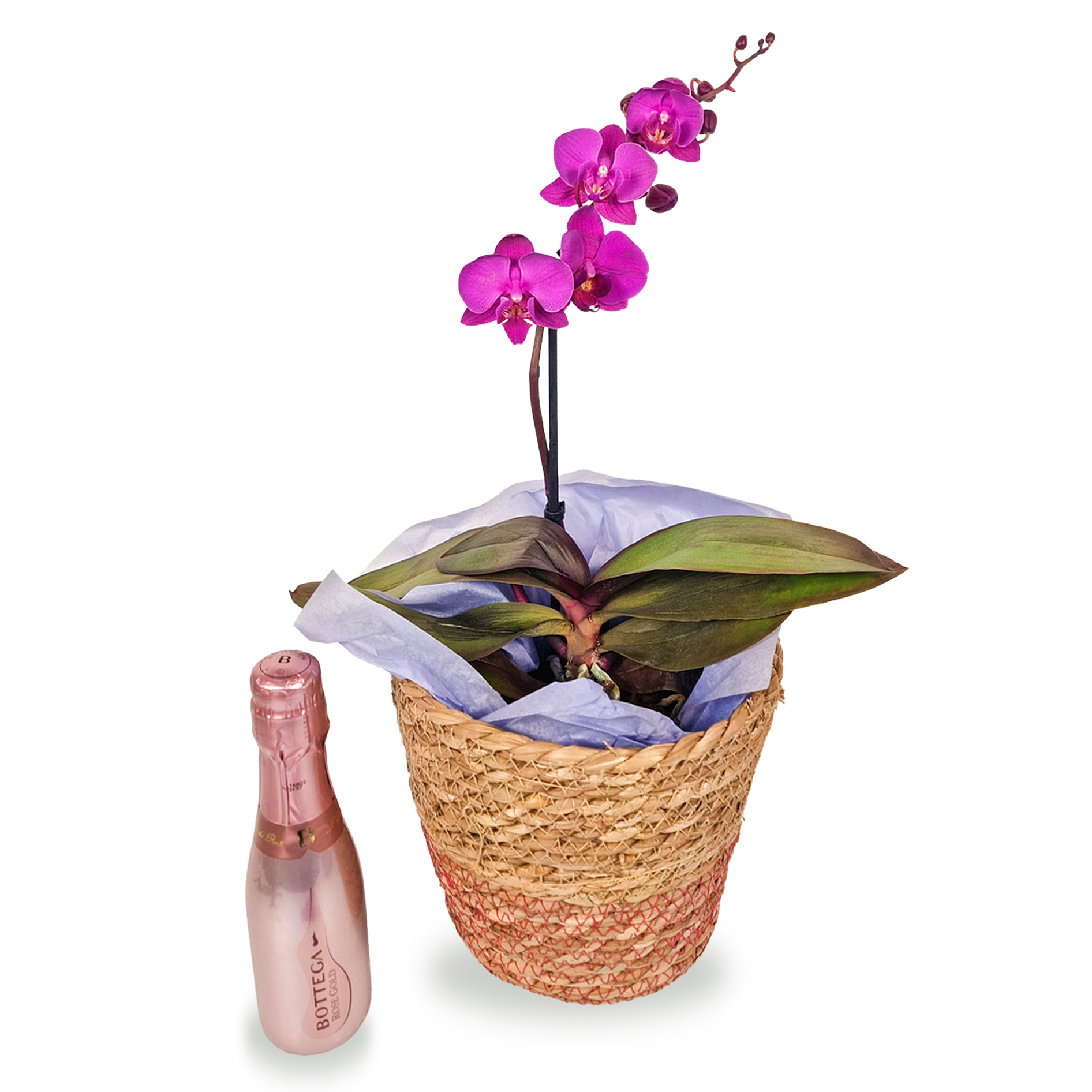 Purple Orchid & Mini Prosecco Gift Set - Free Delivery!