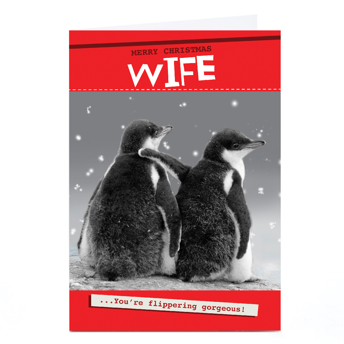 Personalised Quitting Hollywood Christmas Card - Flippering Gorgeous, Wife