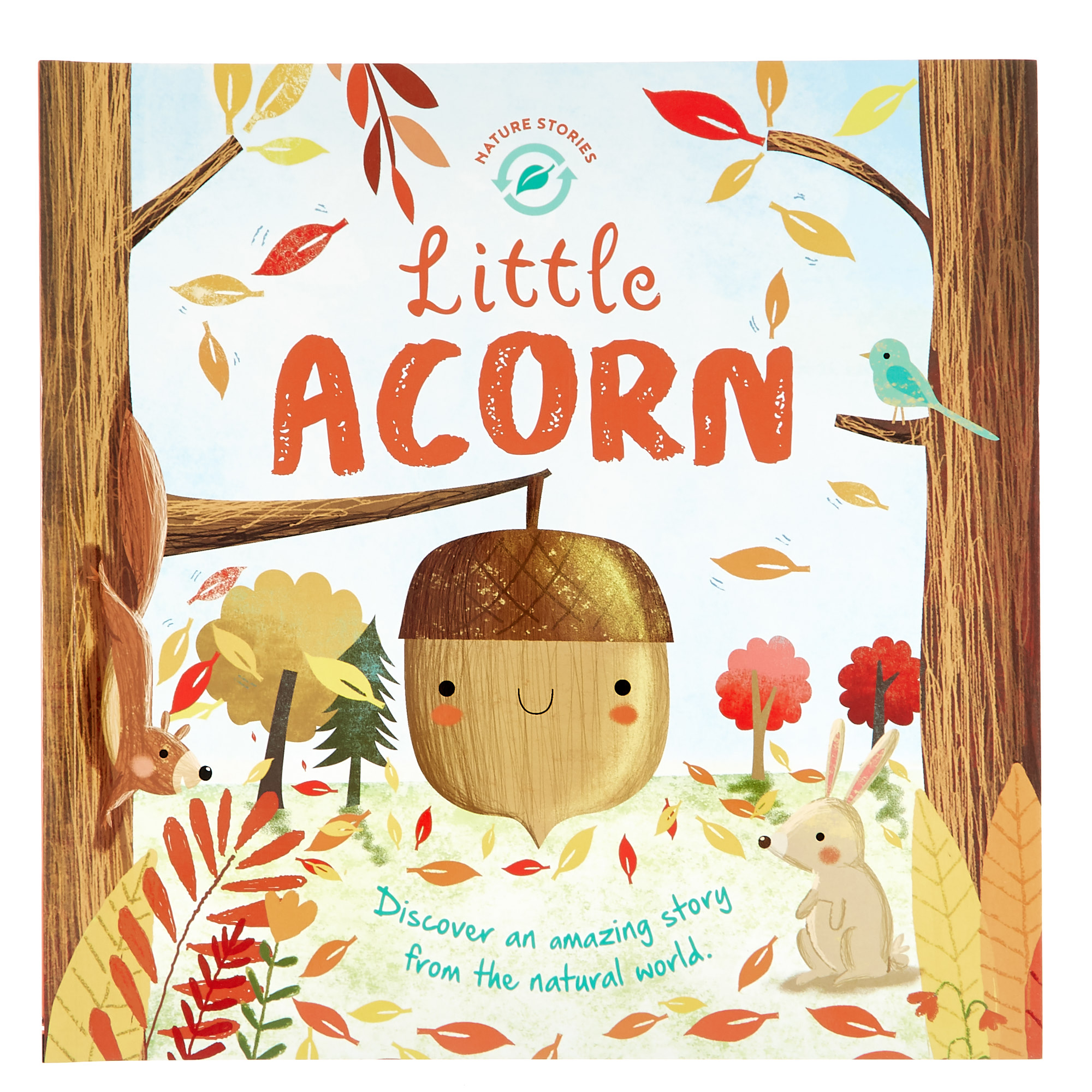 Nature Stories: Little Acorn Storybook