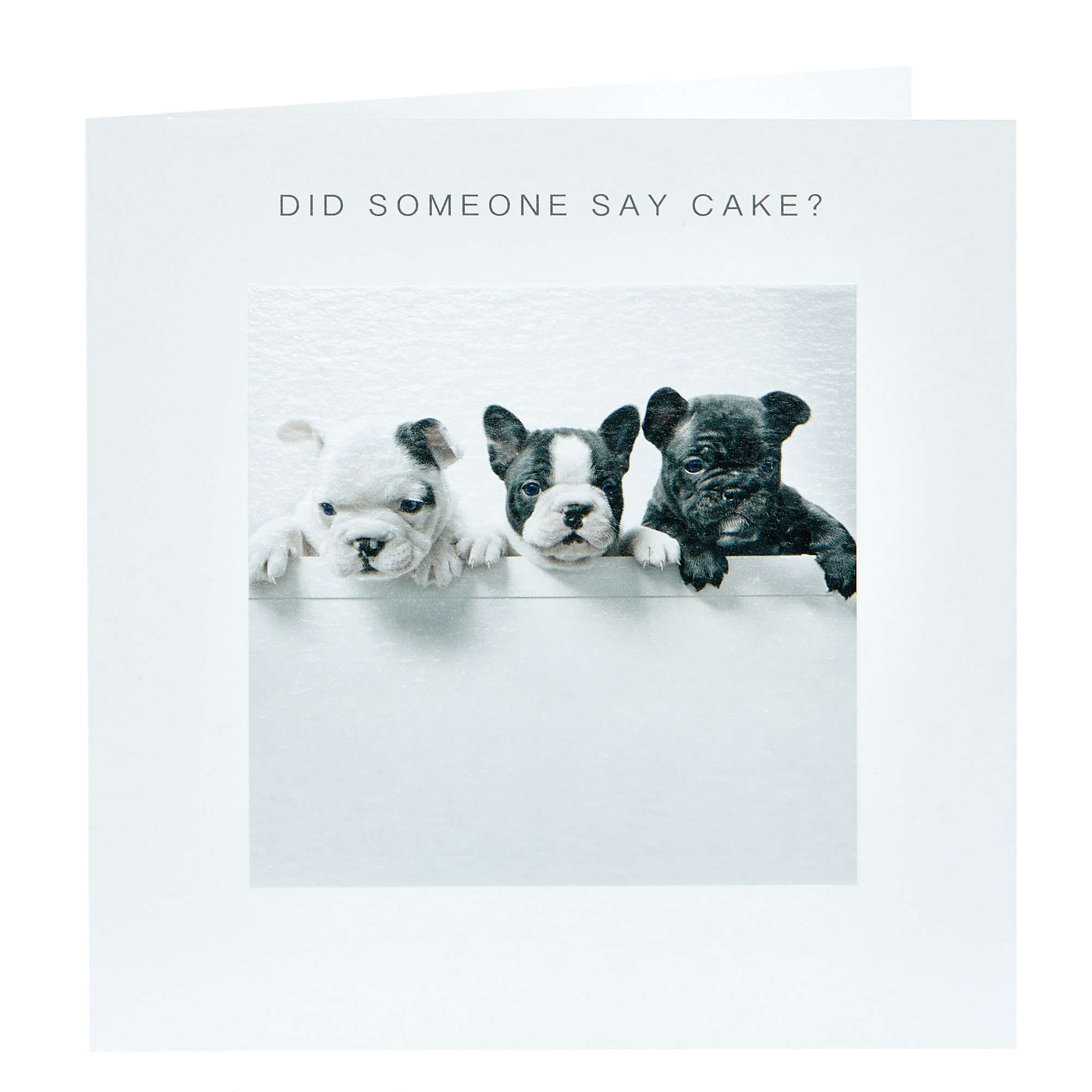 Birthday Card - Did Someone Say Cake?