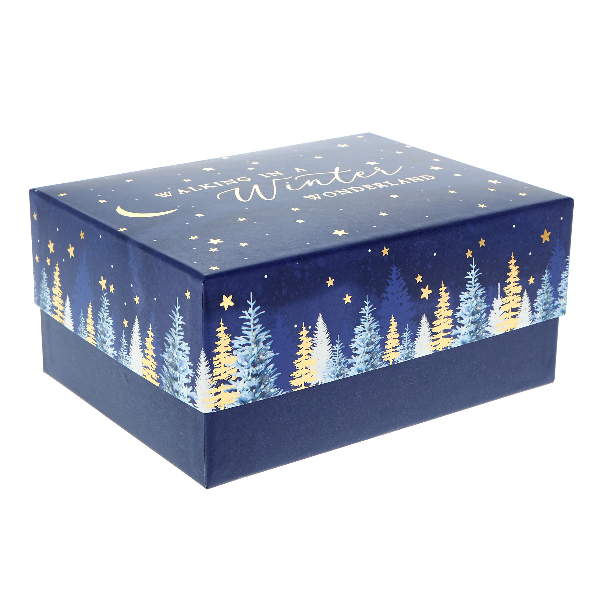 Walking in a Winter Wonderland Gift Boxes - Set of 4