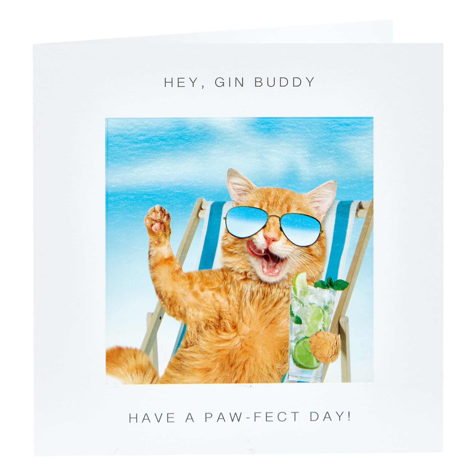 Birthday Card - Hey Gin Buddy