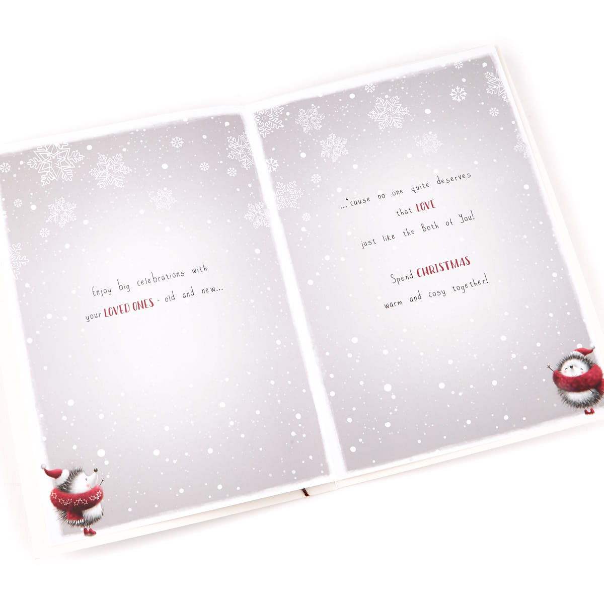 Signature Collection Christmas Card - Both Of You Hedgehogs