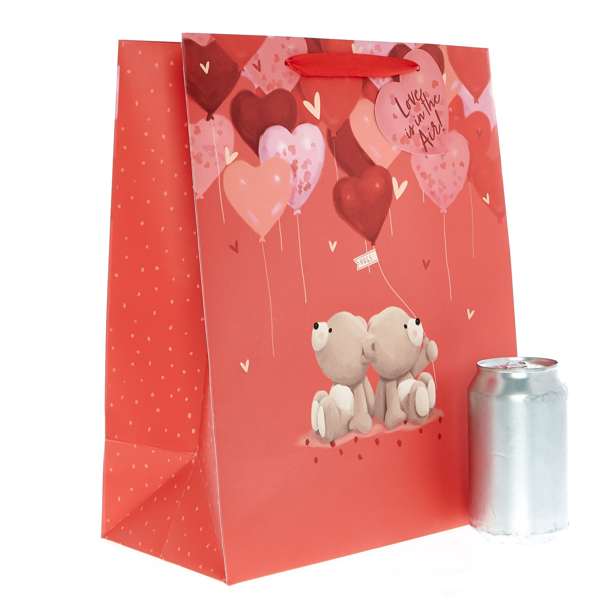 Large Portrait Valentine's Day Gift Bag - Hugs Bear Hearts