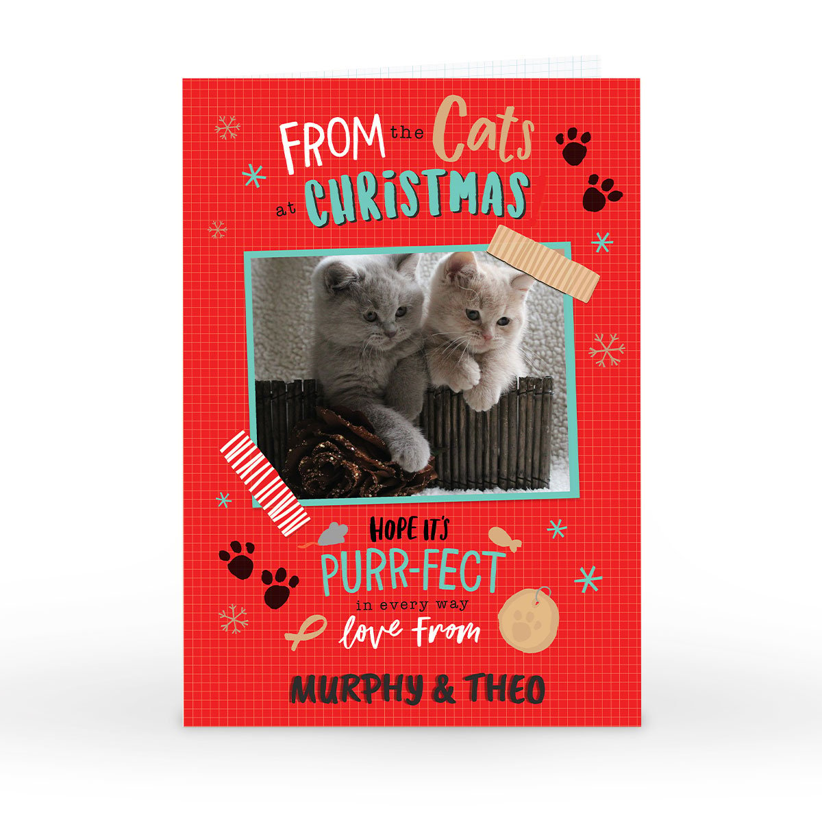 Photo Christmas Card - From The Cats