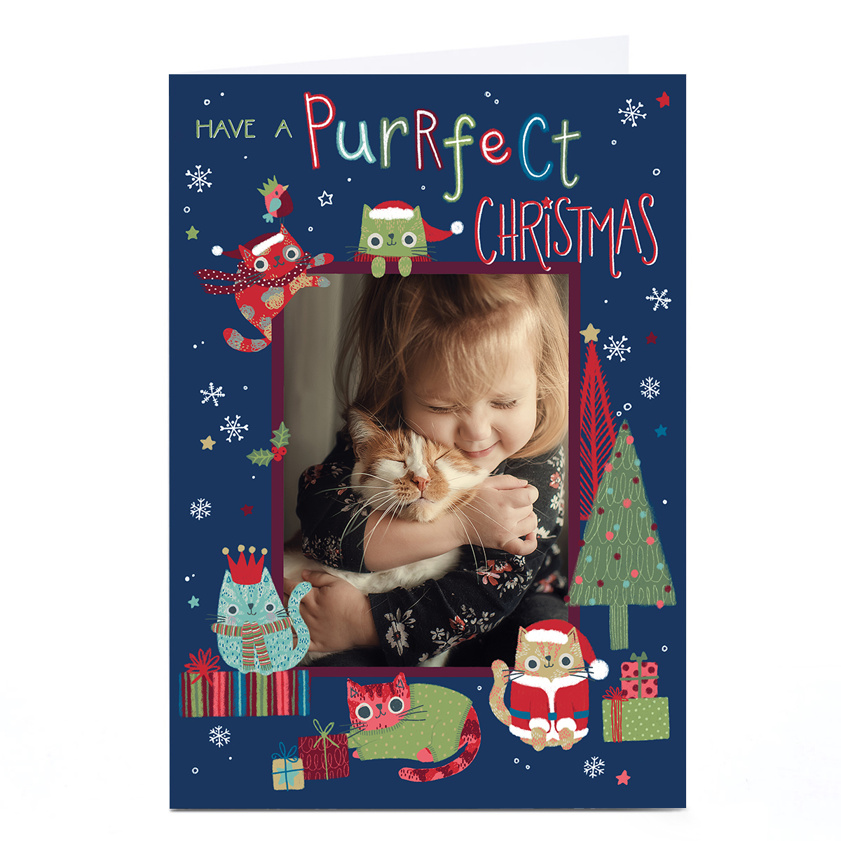 Photo Nikki Golesworthy Christmas Card - Cats