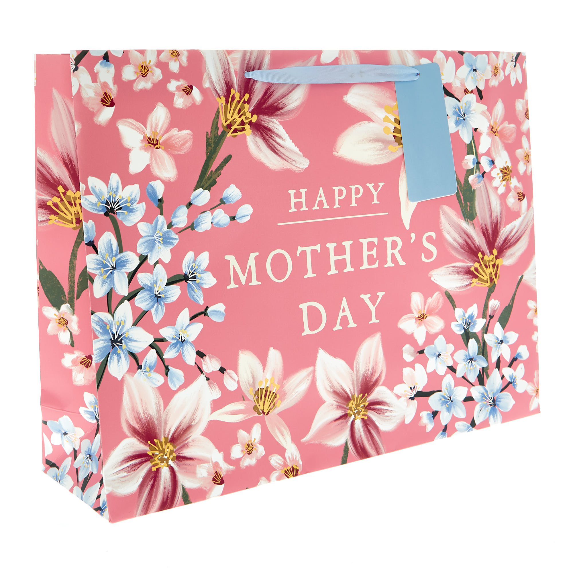 Buy Extra Large Landscape Botanical Mother's Day Gift Bag for GBP 1.69