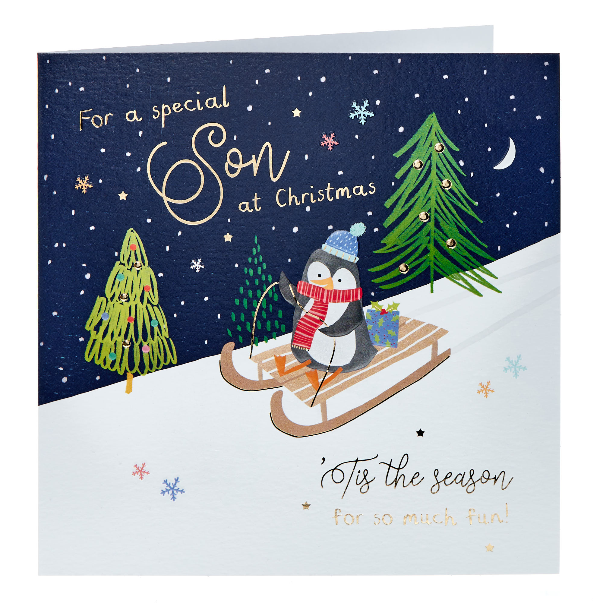Son Penguin Sledge Christmas Card
