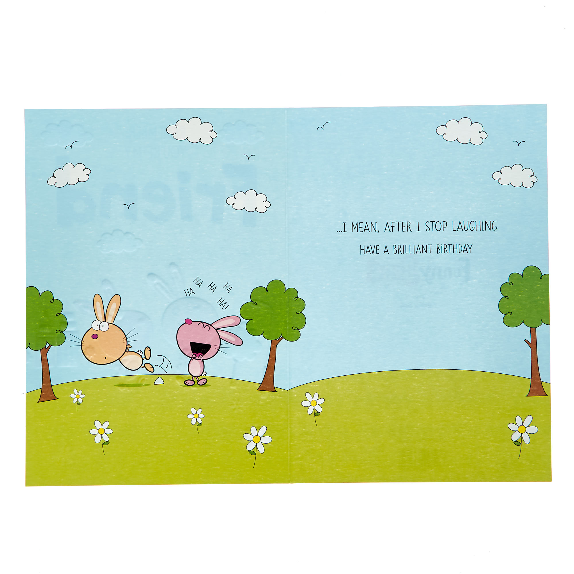 Birthday Card - Friend If You Ever Fall