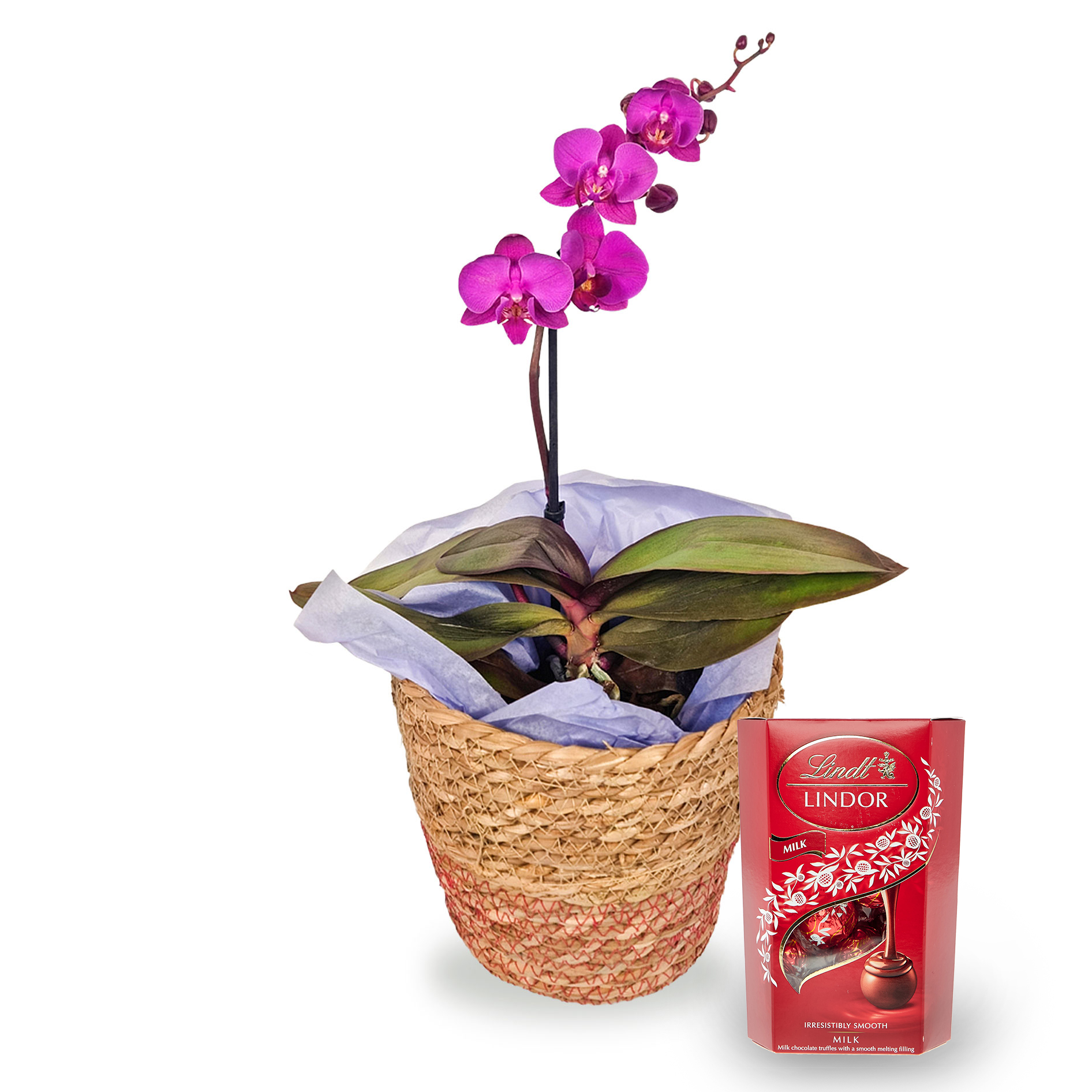 Buy Purple Orchid & Lindt Chocolate Truffles for GBP 19.99 Card
