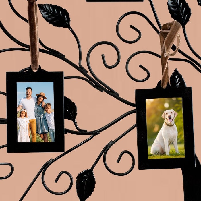 Family Tree 6 Picture Frame