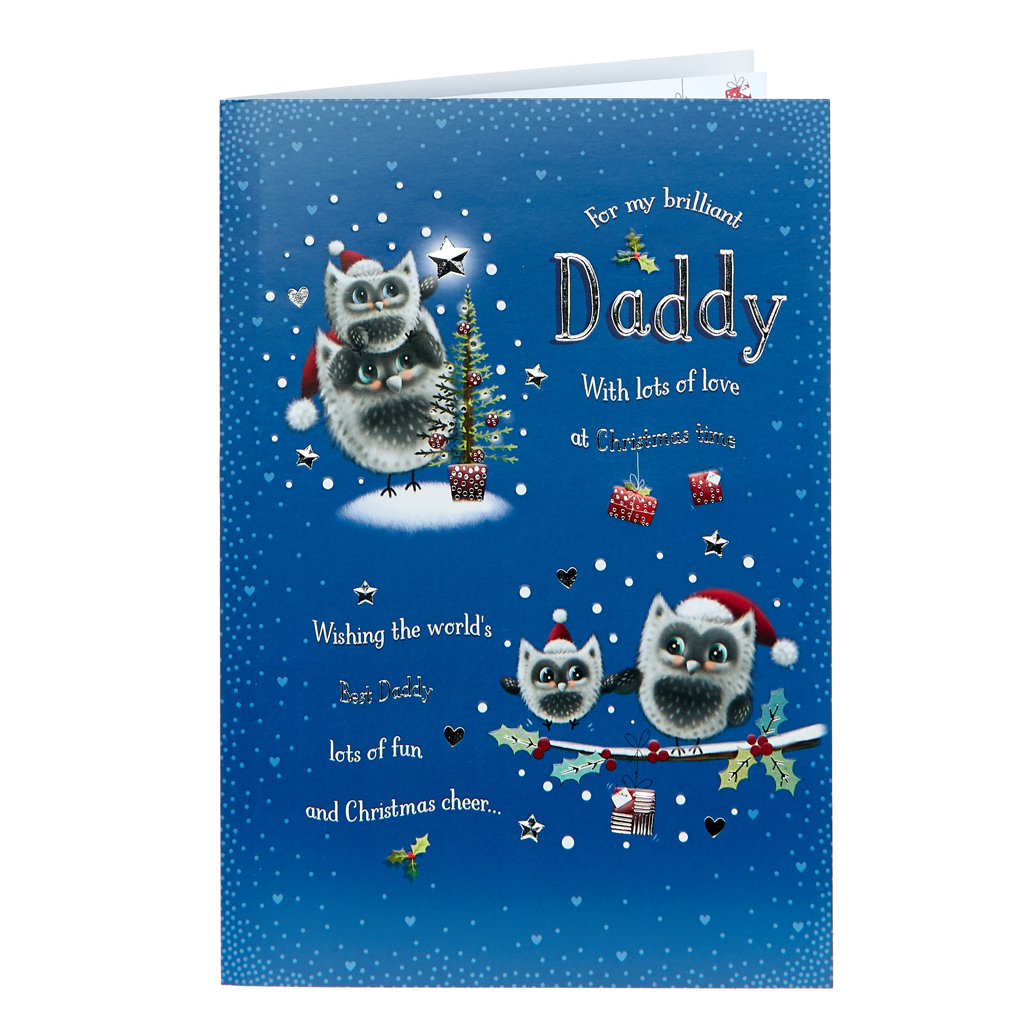 Christmas Card - My Brilliant Daddy Owls 