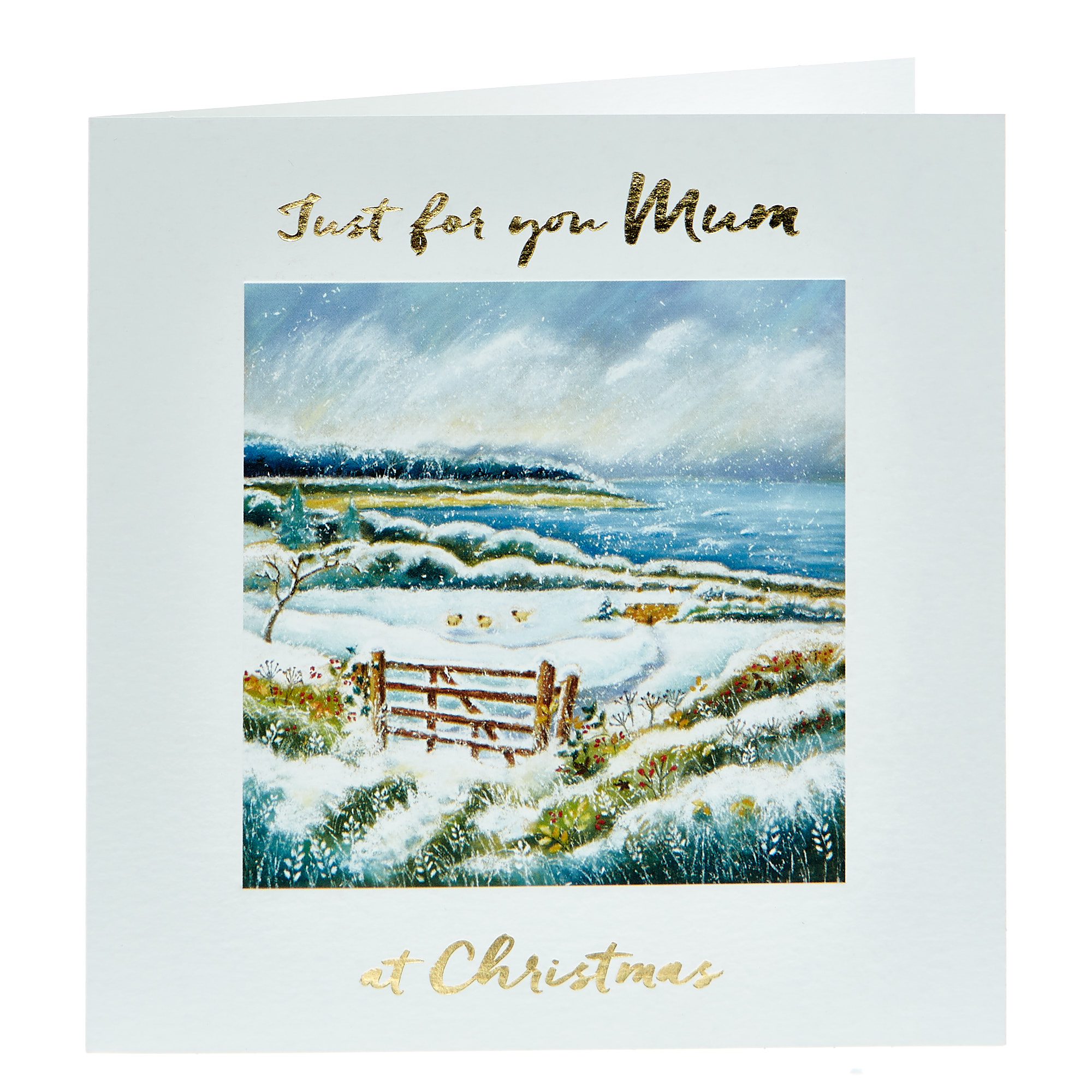 Christmas Card - For You Mum, Snowy View