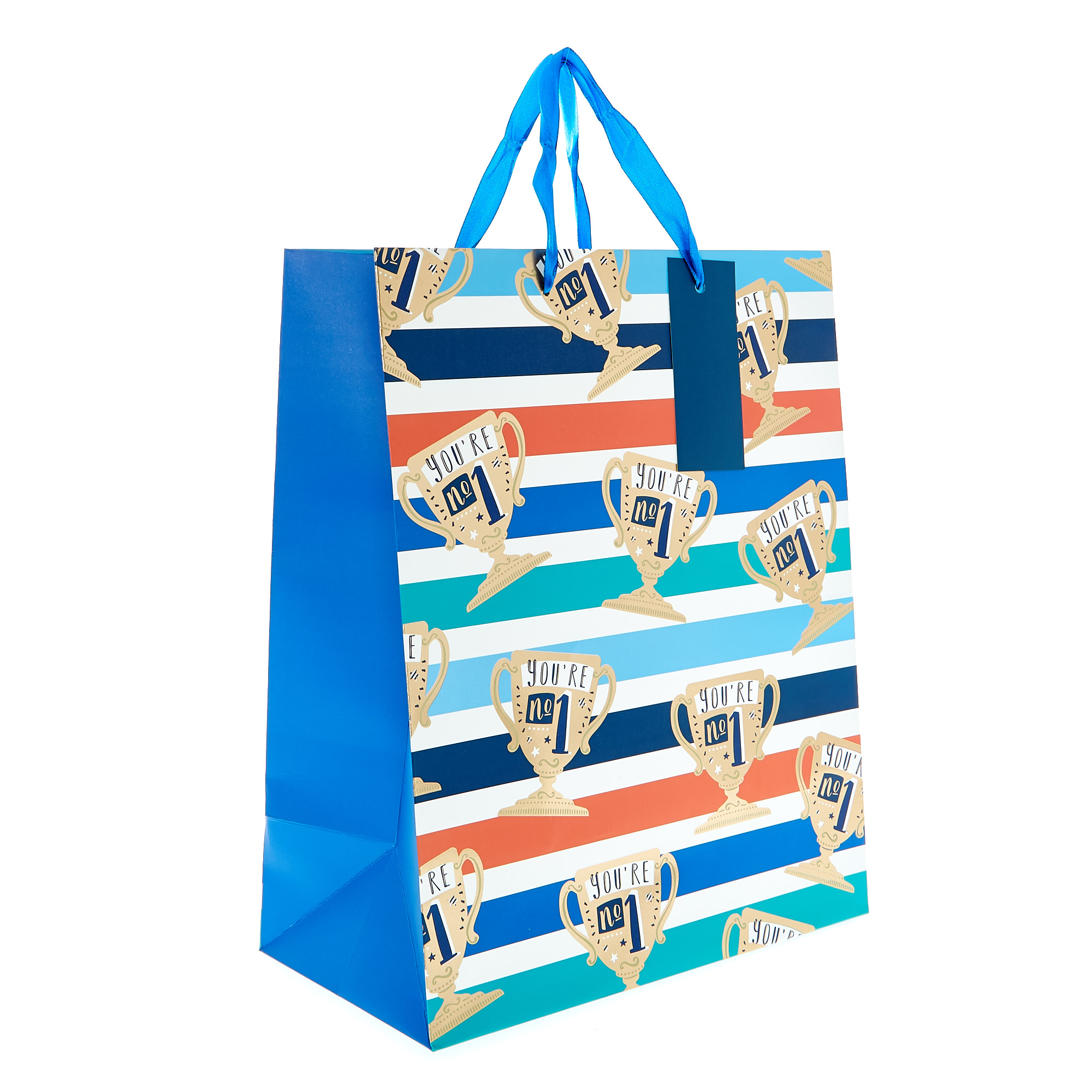 Large Portrait Gift Bag - Trophies 