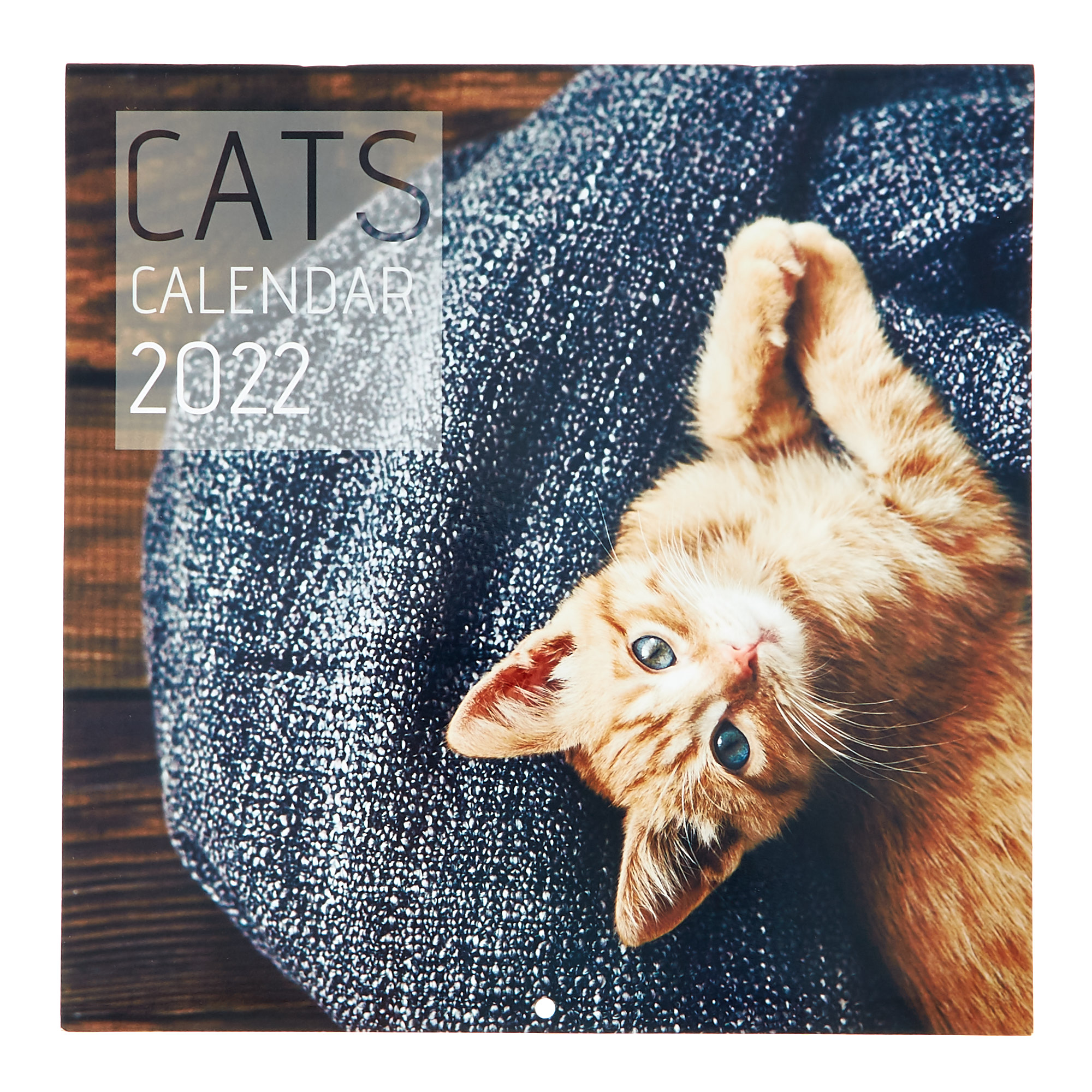 Square 2022 Cat Calendar
