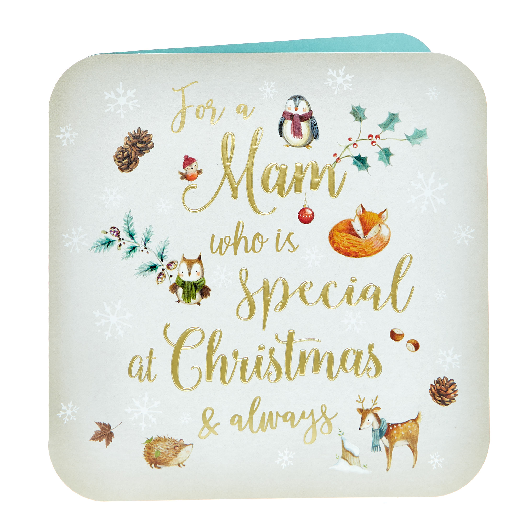 Platinum Collection Christmas Card - Special Mam