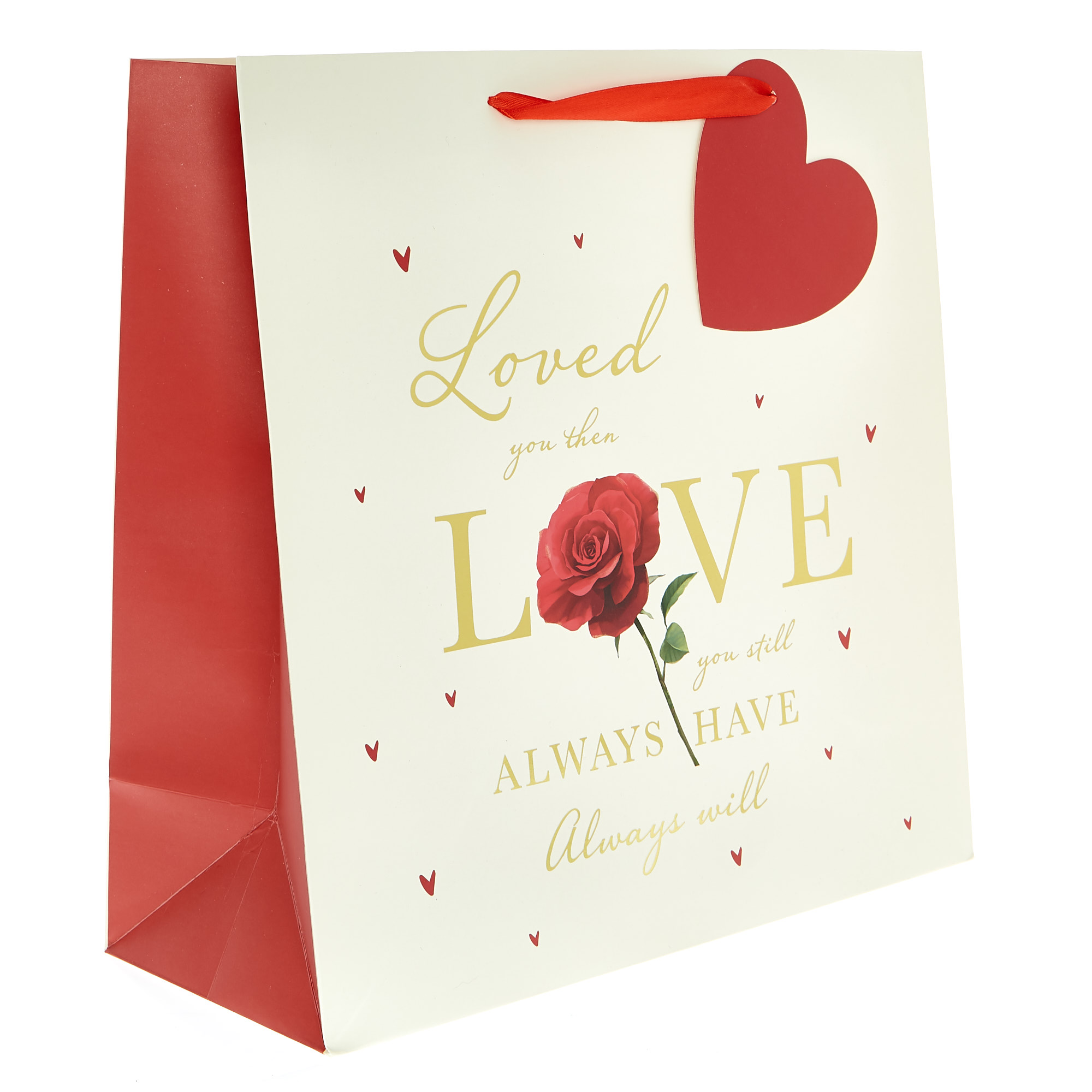 Large Square Valentine's Day Gift Bag - Always Have Always Will 