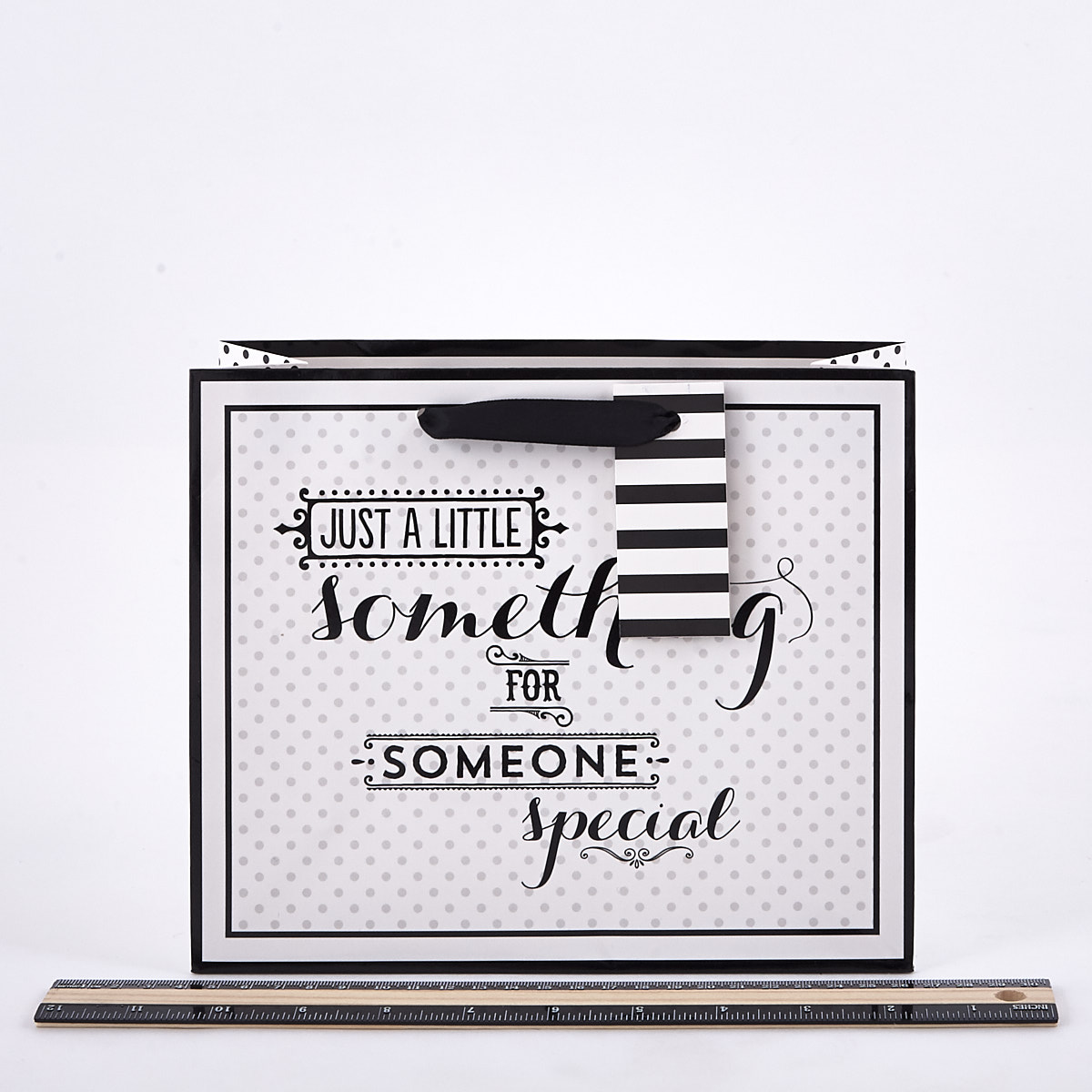 Medium Landscape Black & White Someone Special Gift Bag