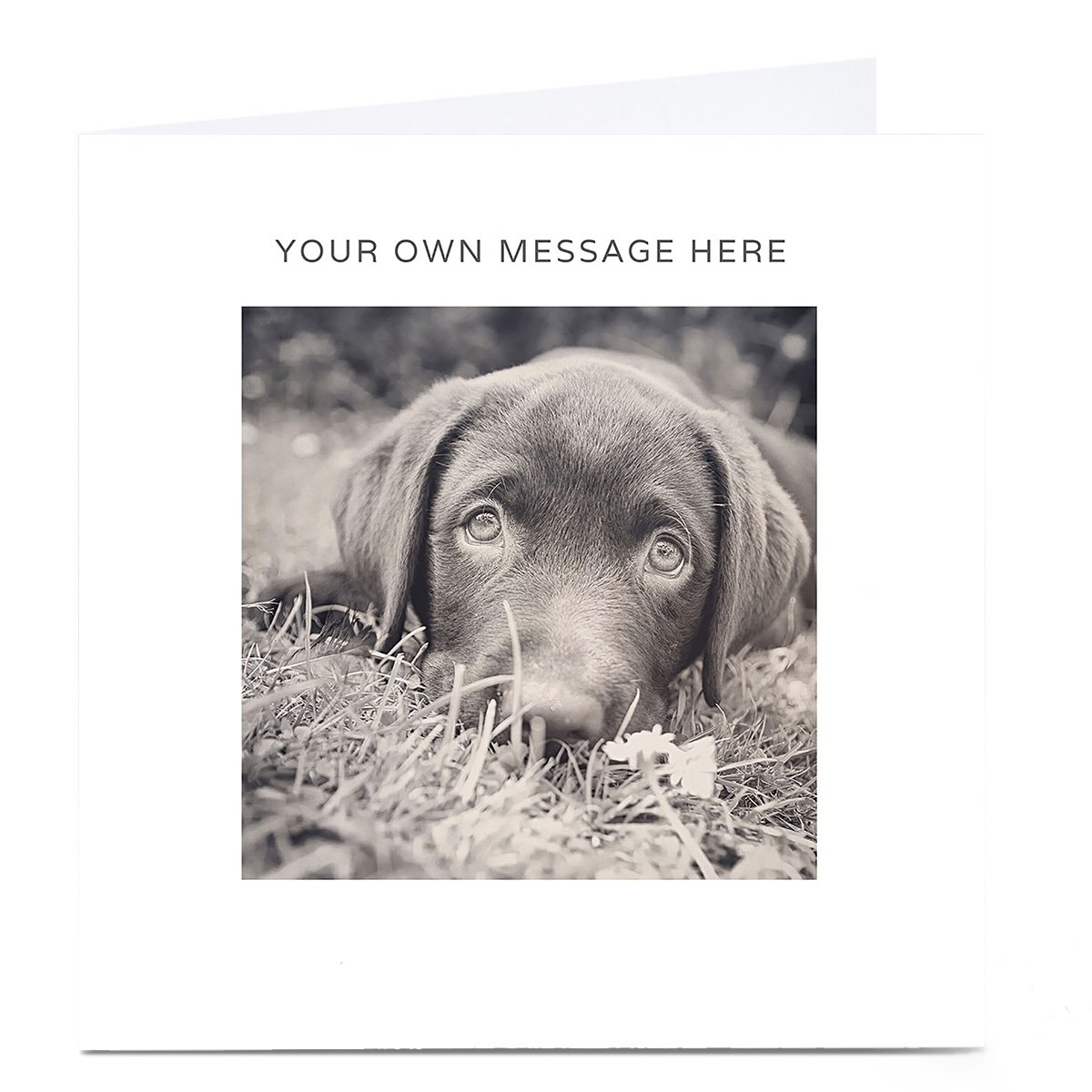 Personalised Card - Puppy Dog Eyes