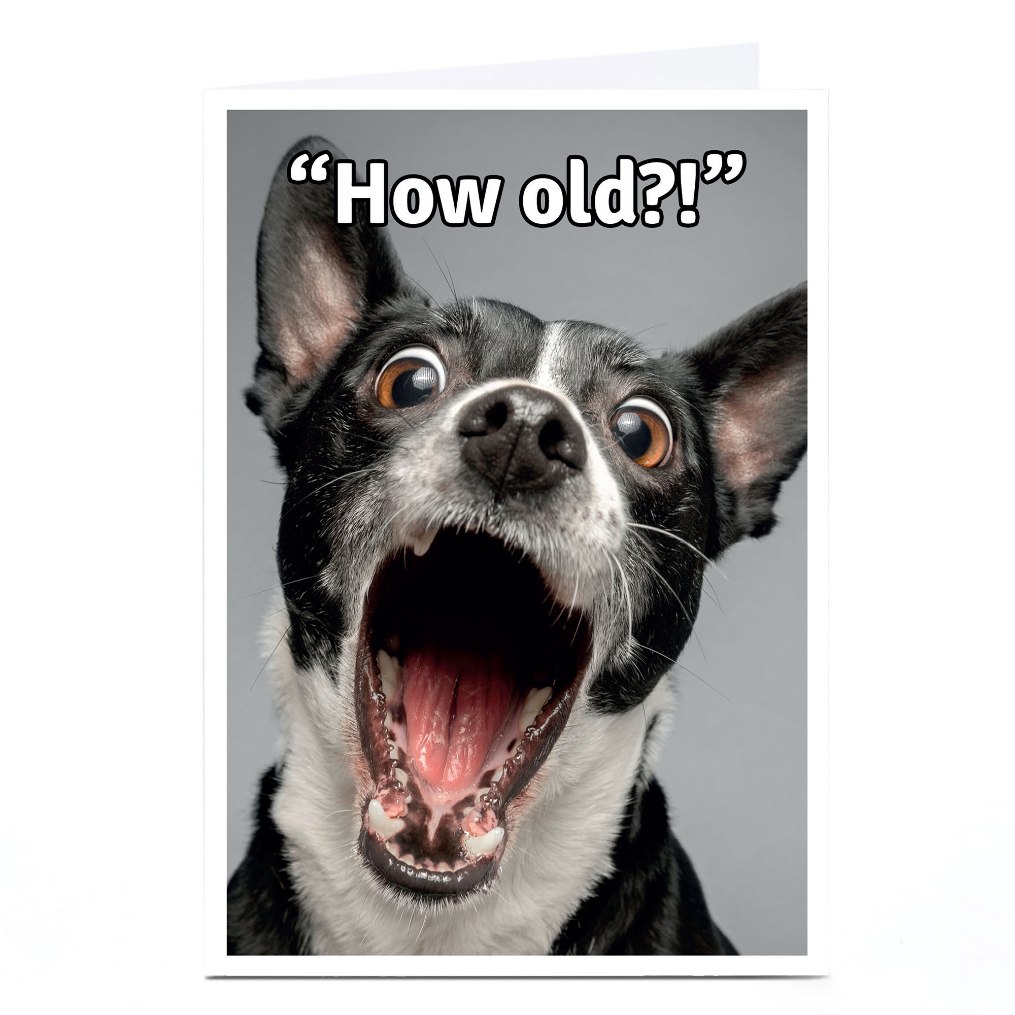 Birthday Card - Dog How Old?!