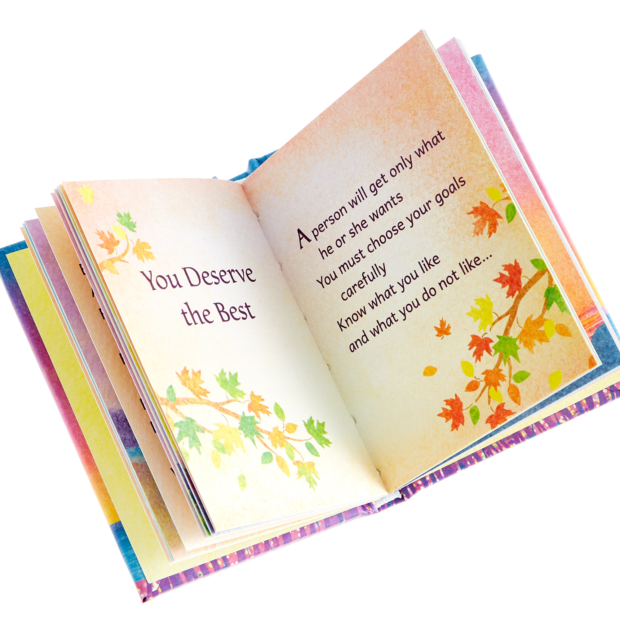 Blue Mountain Arts Keepsake Book - Believe In Yourself  & Your Dreams