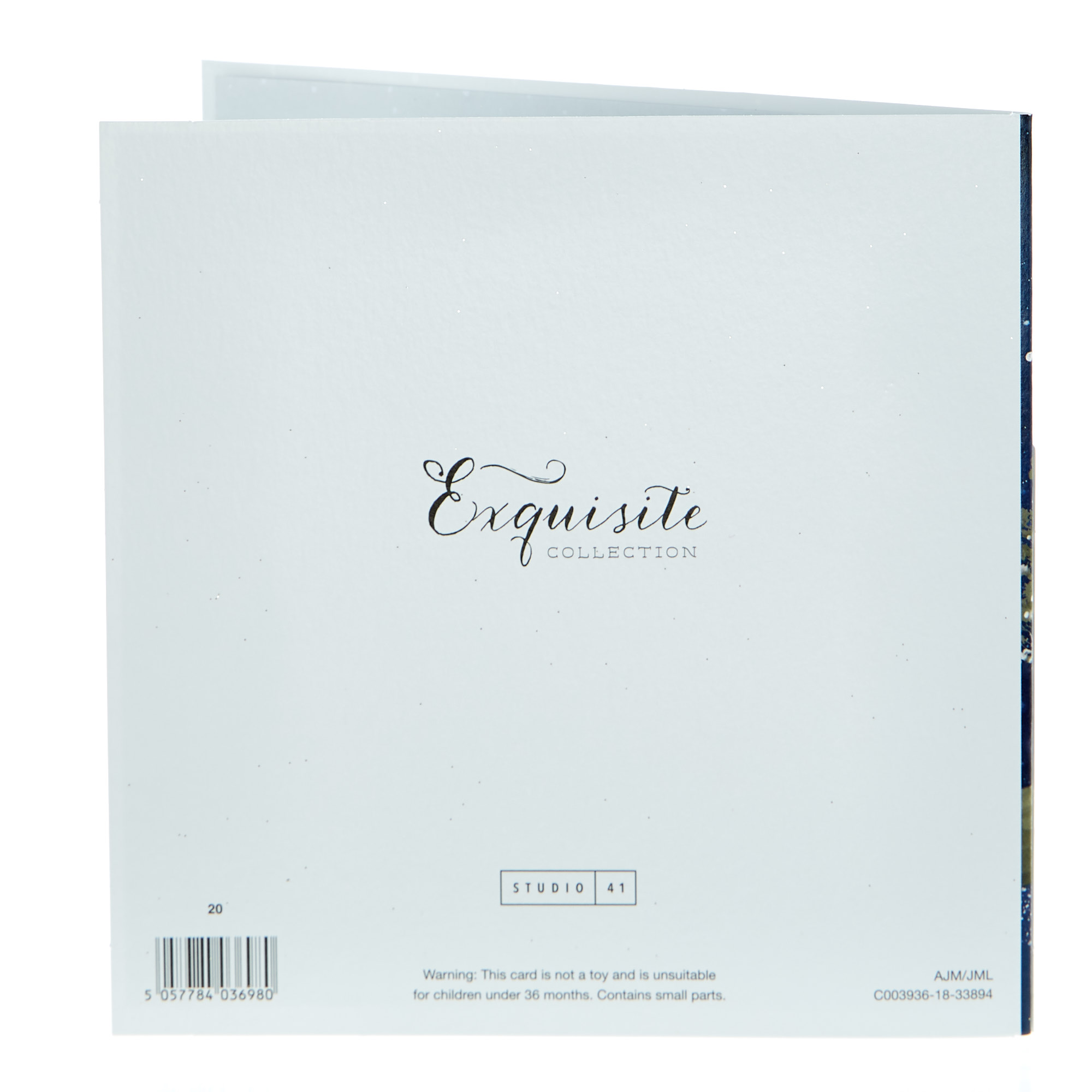 Exquisite Collection Christmas Card - A Wish For Both of You