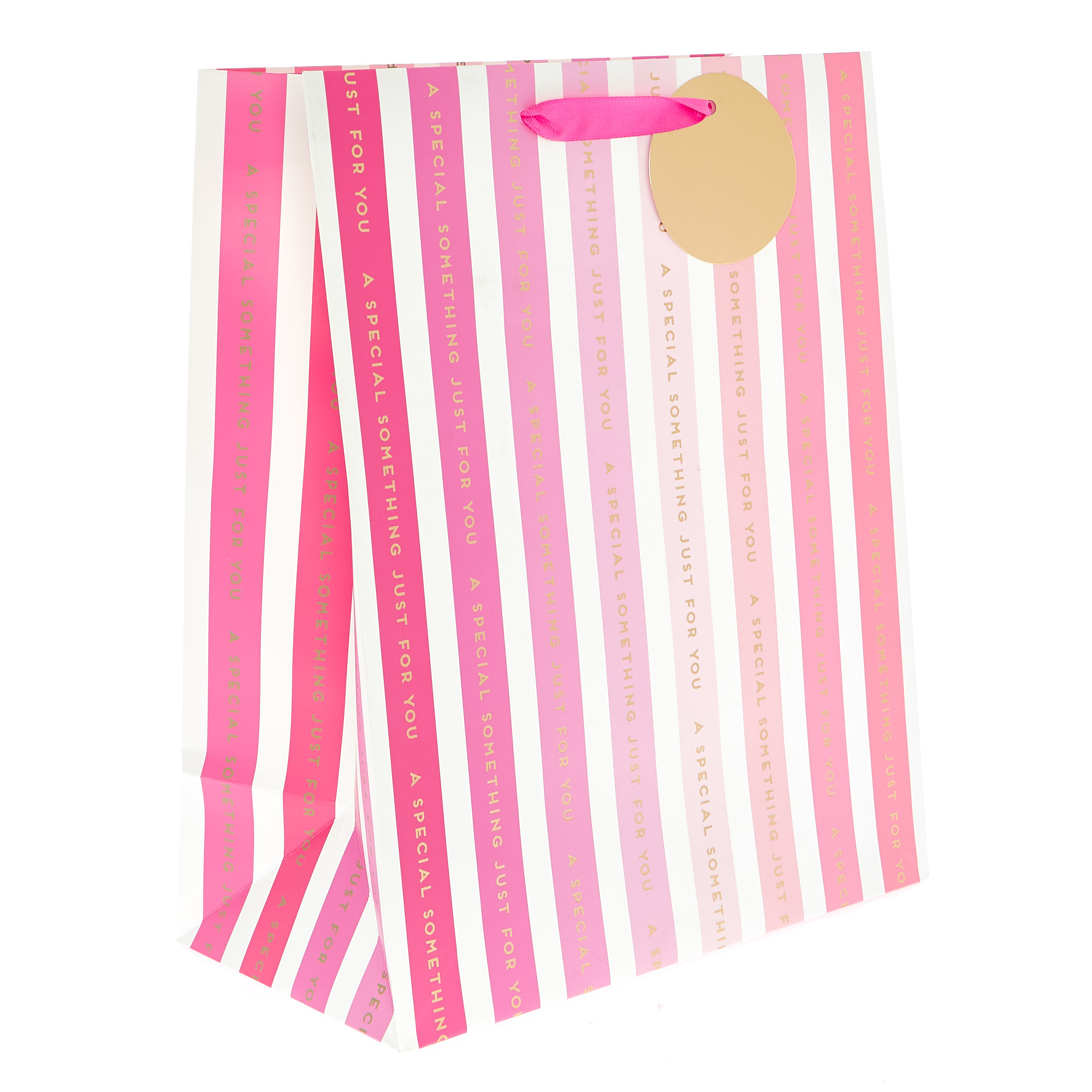 Large Portrait Gift Bag - Special Something Pink