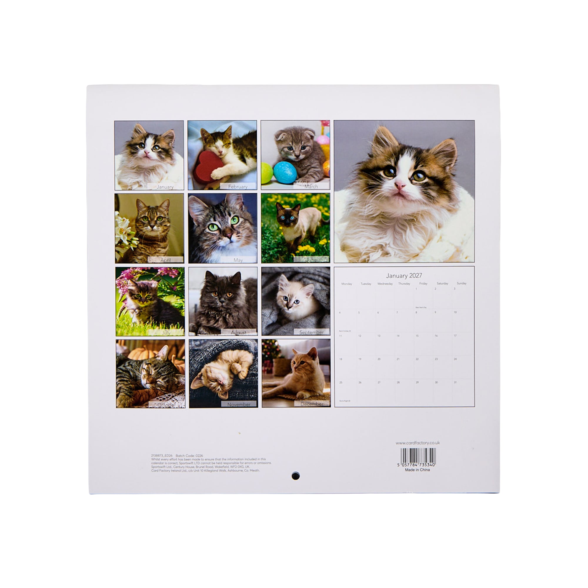 Cats & Kittens 2027 Square Wall Calendar 