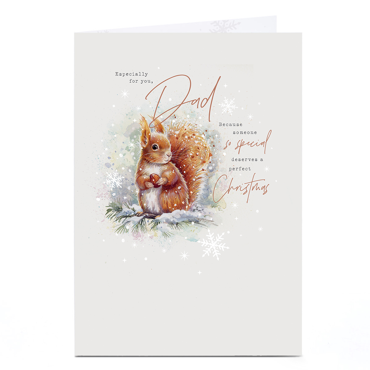 Christmas Card - Red Squirrel Snowy Branch, Especially For You Dad