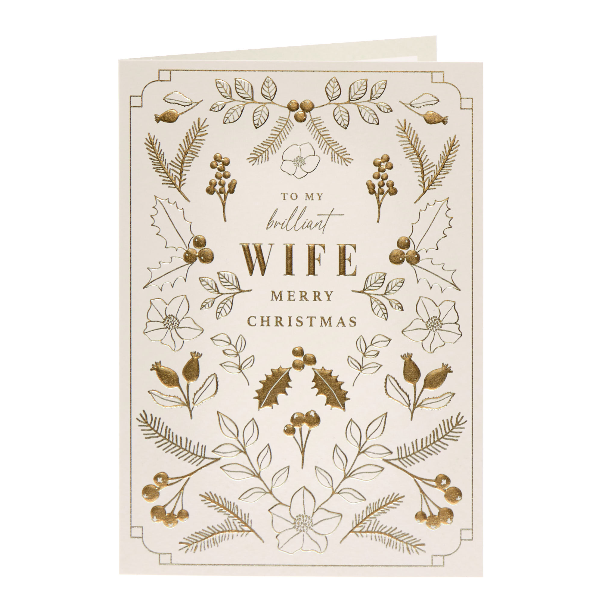 Brilliant WIFE Studio 41 Christmas Card