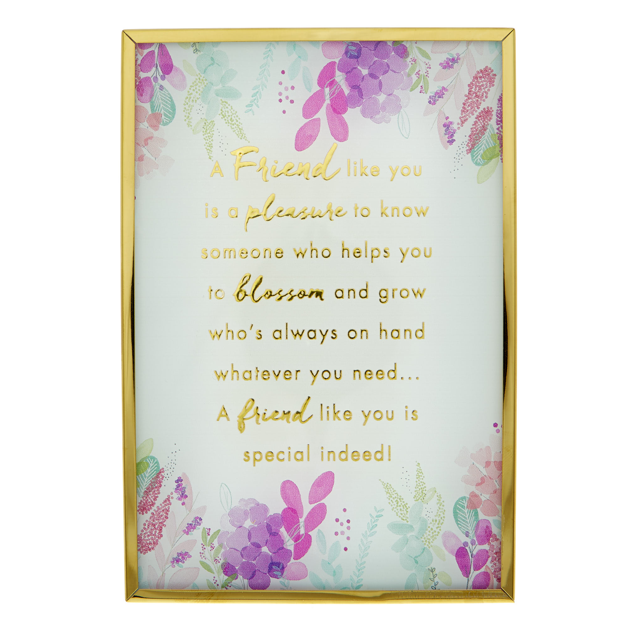 A Friend Like You Sentimental Decorative Frame 