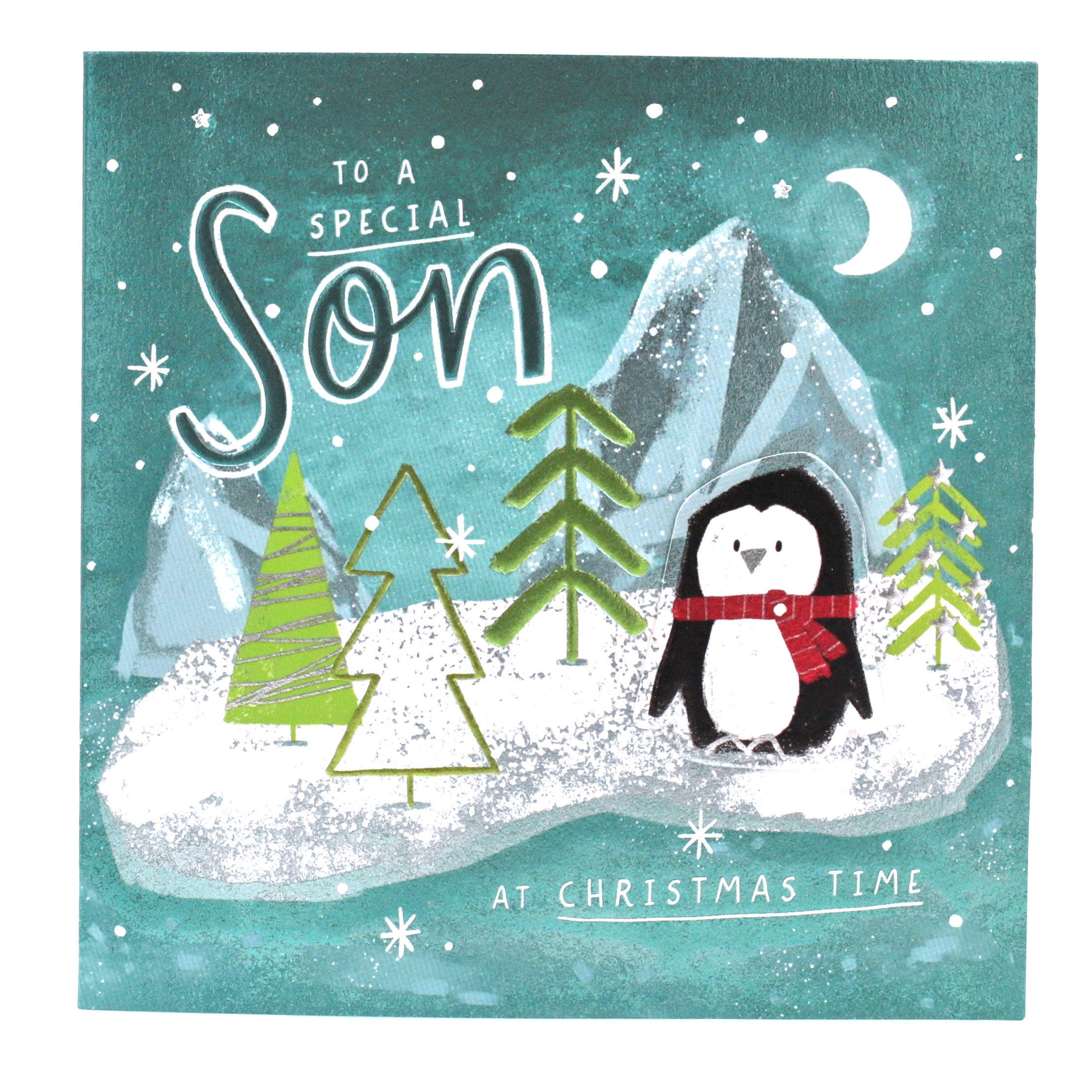 Boutique Christmas Card - Son Cute Penguin
