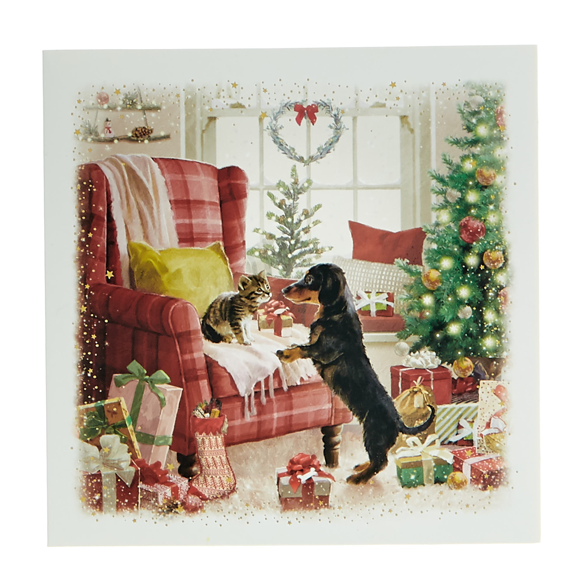 16 Charity Christmas Cards - Cats & Dogs (2 Designs)