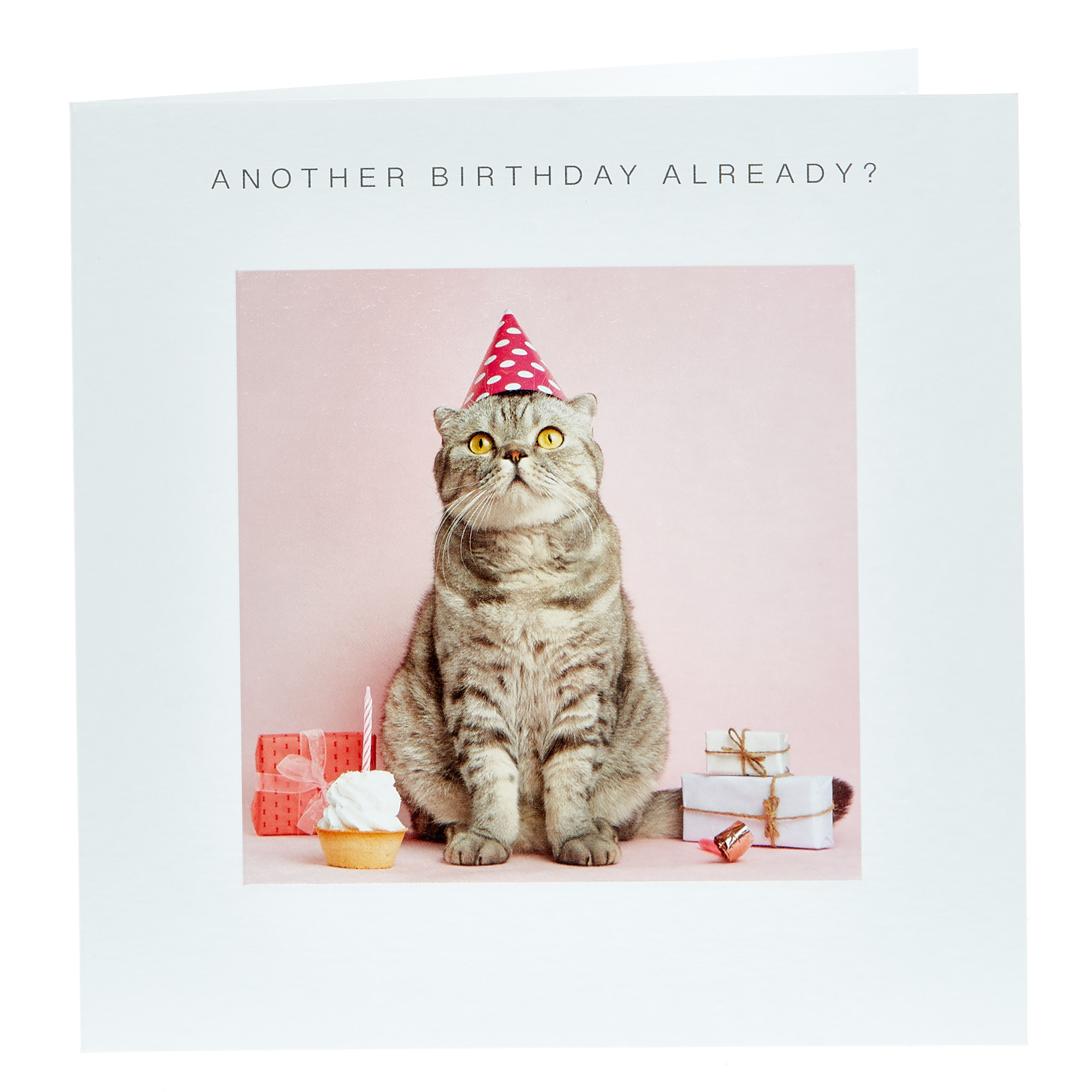 Birthday Card - Pink Party Cat