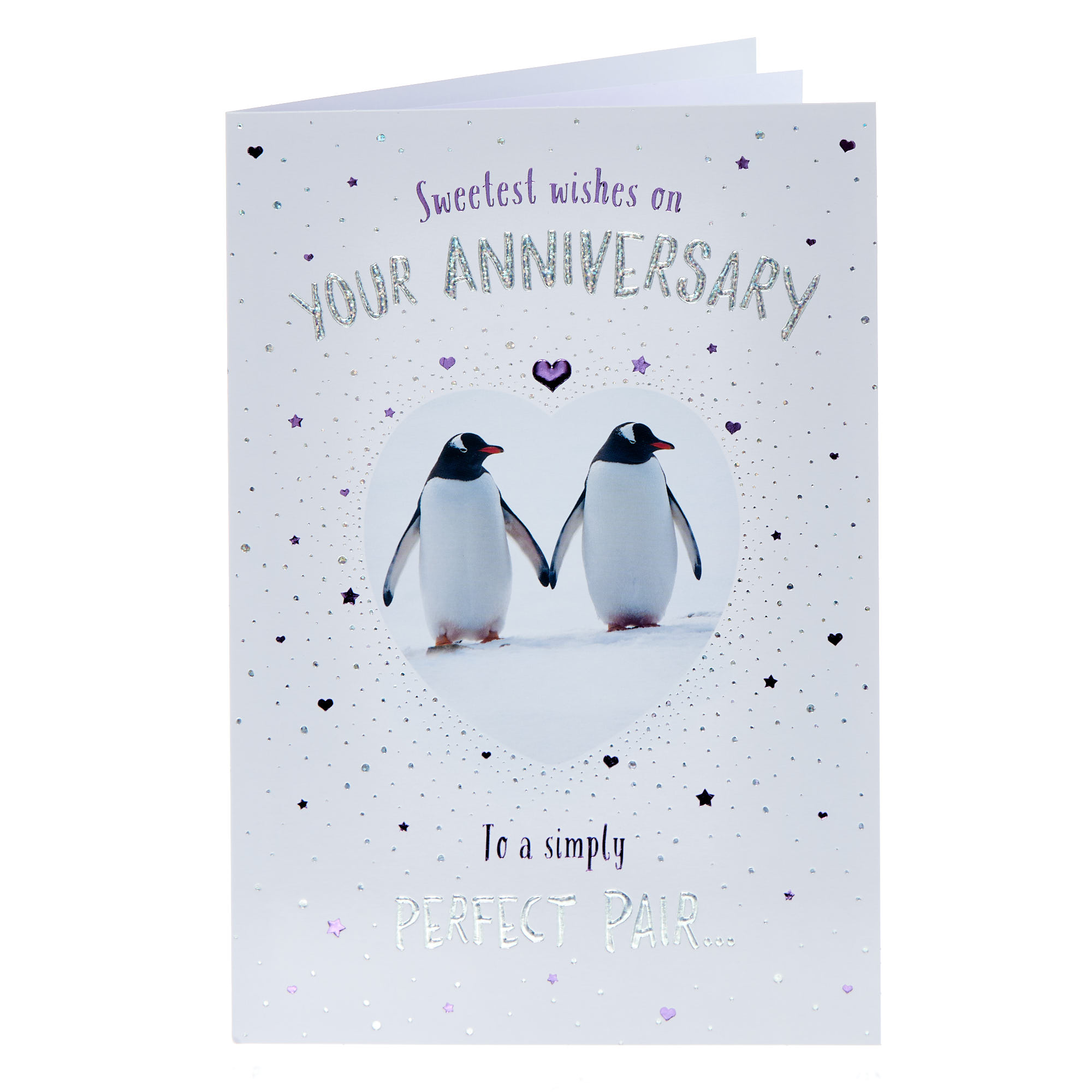 Penguin Pair Wedding Anniversary Card